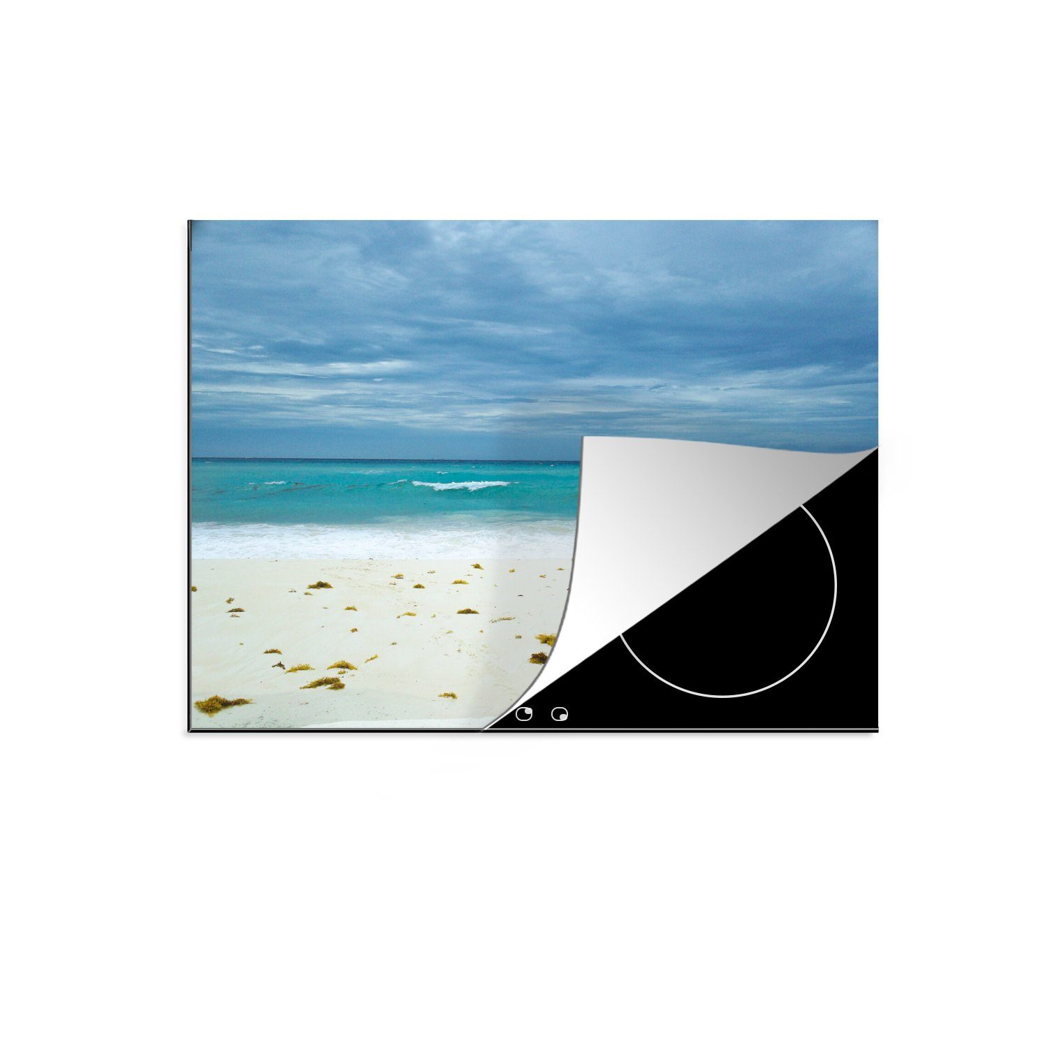 MuchoWow Herdblende-/Abdeckplatte Angespülter Seetang am Strand von Playa del Carmen, Mexiko, Vinyl, (1 tlg), 71x52 cm, Induktionskochfeld Schutz für die küche, Ceranfeldabdeckung