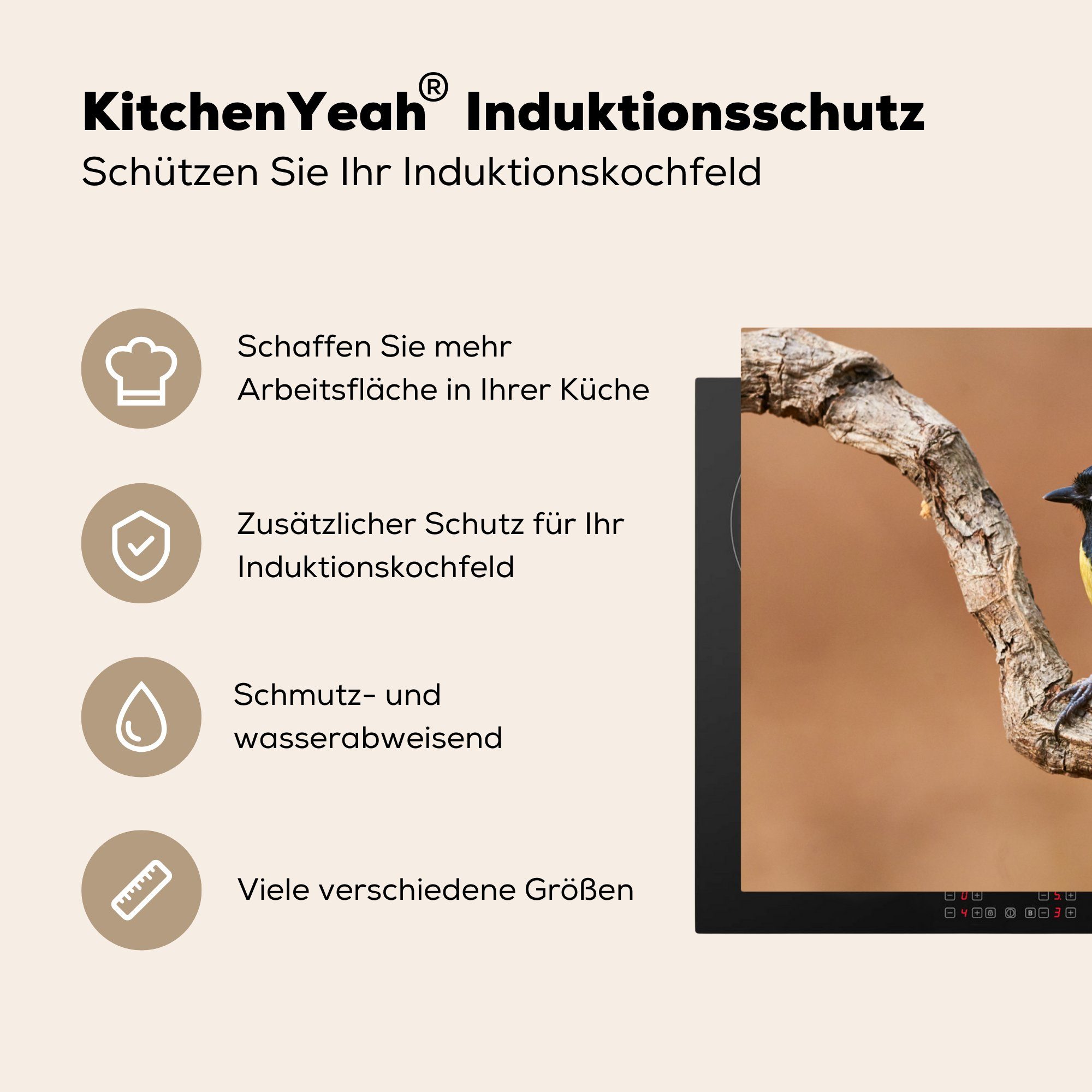 küche Vogel Herdblende-/Abdeckplatte 77x51 cm, - Zweige, tlg), MuchoWow Ceranfeldabdeckung, Vinyl, - Kohlmeise Arbeitsplatte (1 für