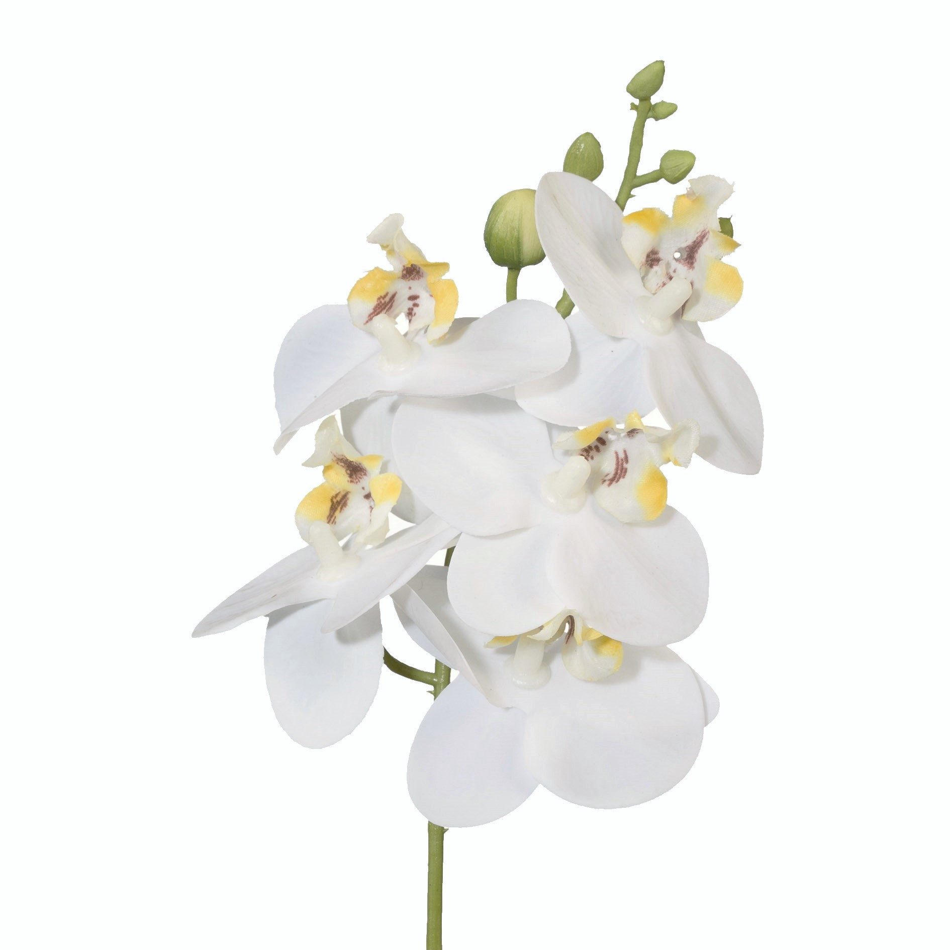 Kunstorchidee Kunstblume Phalaenopsis, Orchideenzweig 27cm Real Touch, Gasper