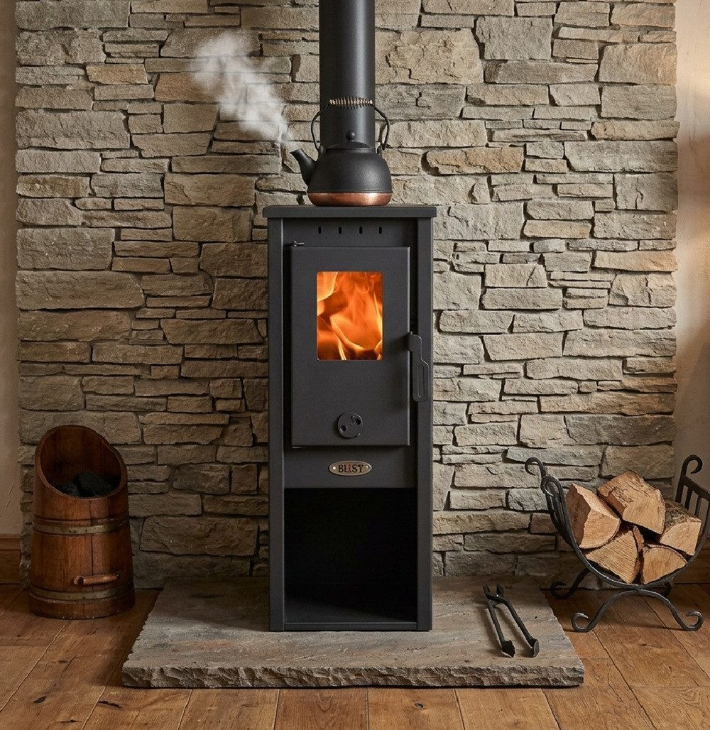 Blist Kaminofen BERNA LUX S 4.0 black, 5,9 kW