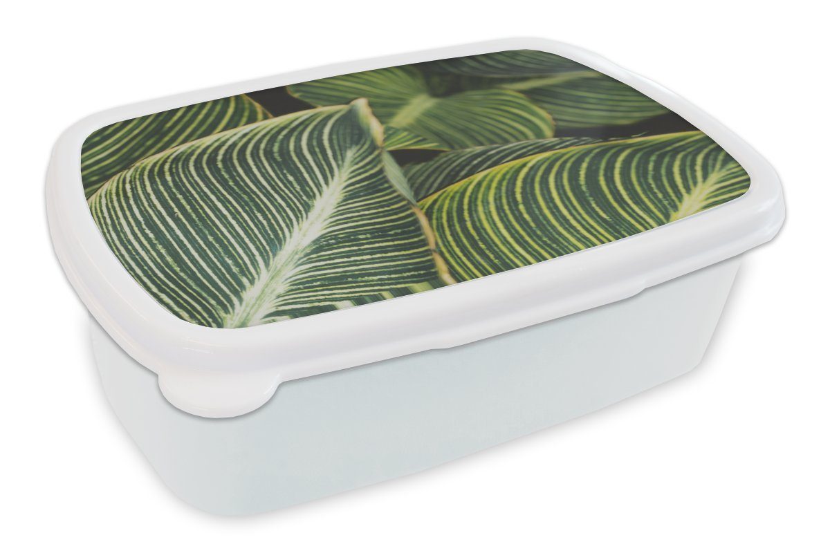 MuchoWow Lunchbox Blätter - Kunststoff, Jungs Erwachsene, Mädchen Brotdose, für - (2-tlg), und und Brotbox für weiß Kinder Pflanzen, Natur