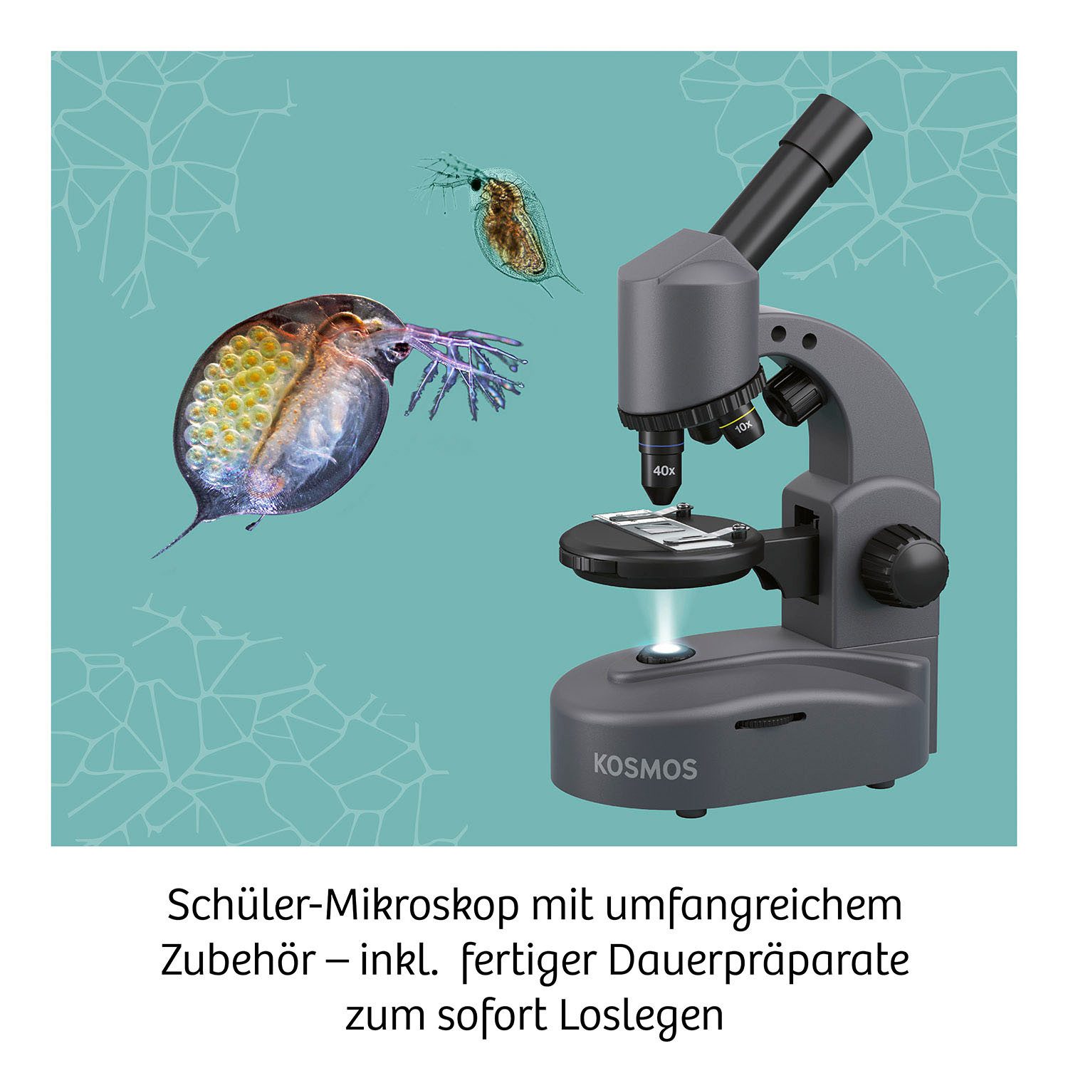 Kosmos Experimentierkasten Mikroskop