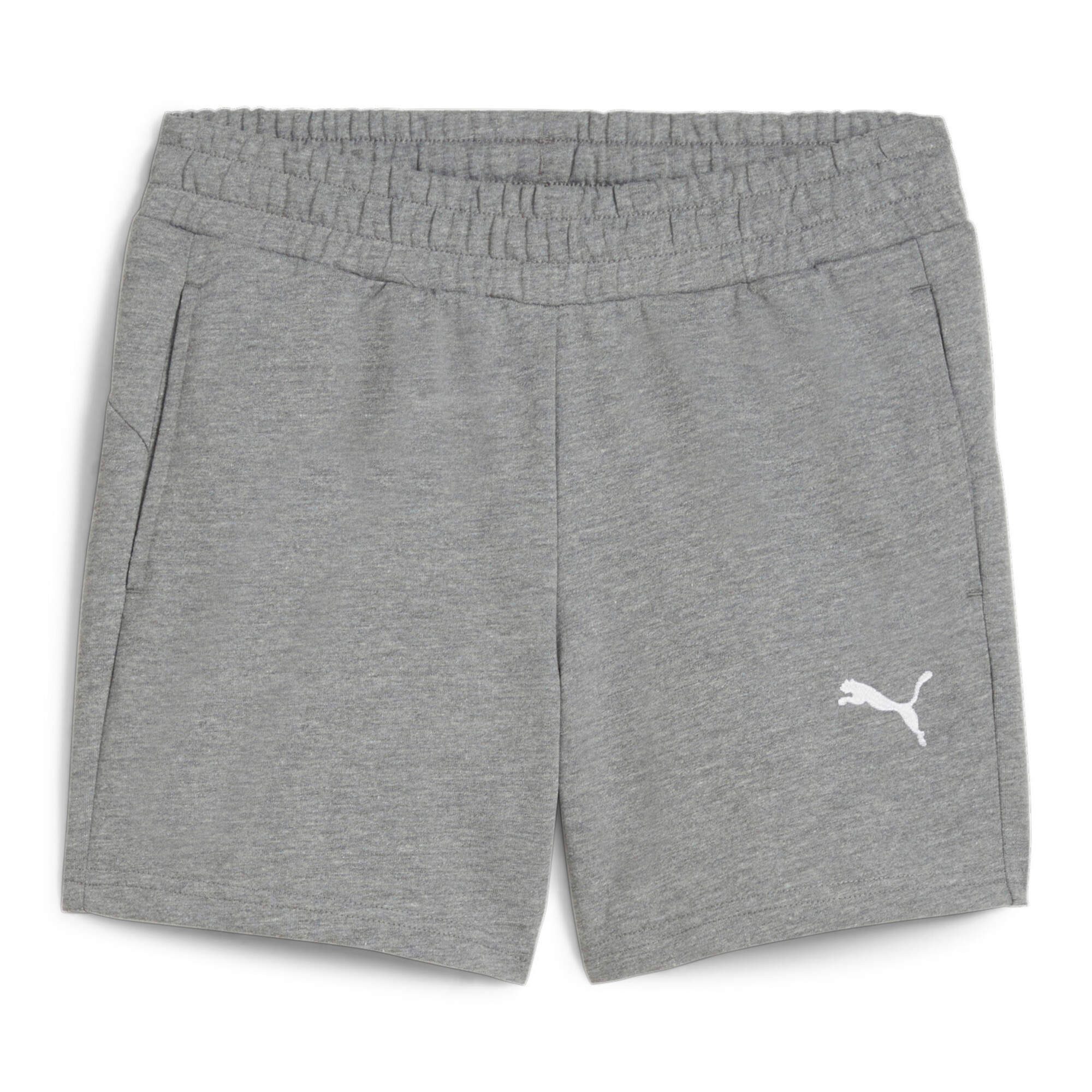 Trainingsshorts Puma Damen Short teamGOAL Casuals Shorts Wmn 658611