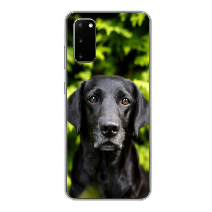 MuchoWow Handyhülle Ein schwarzer Labrador Retriever inmitten der grünen Blätter Phone Case Handyhülle Samsung Galaxy S20 Silikon Schutzhülle