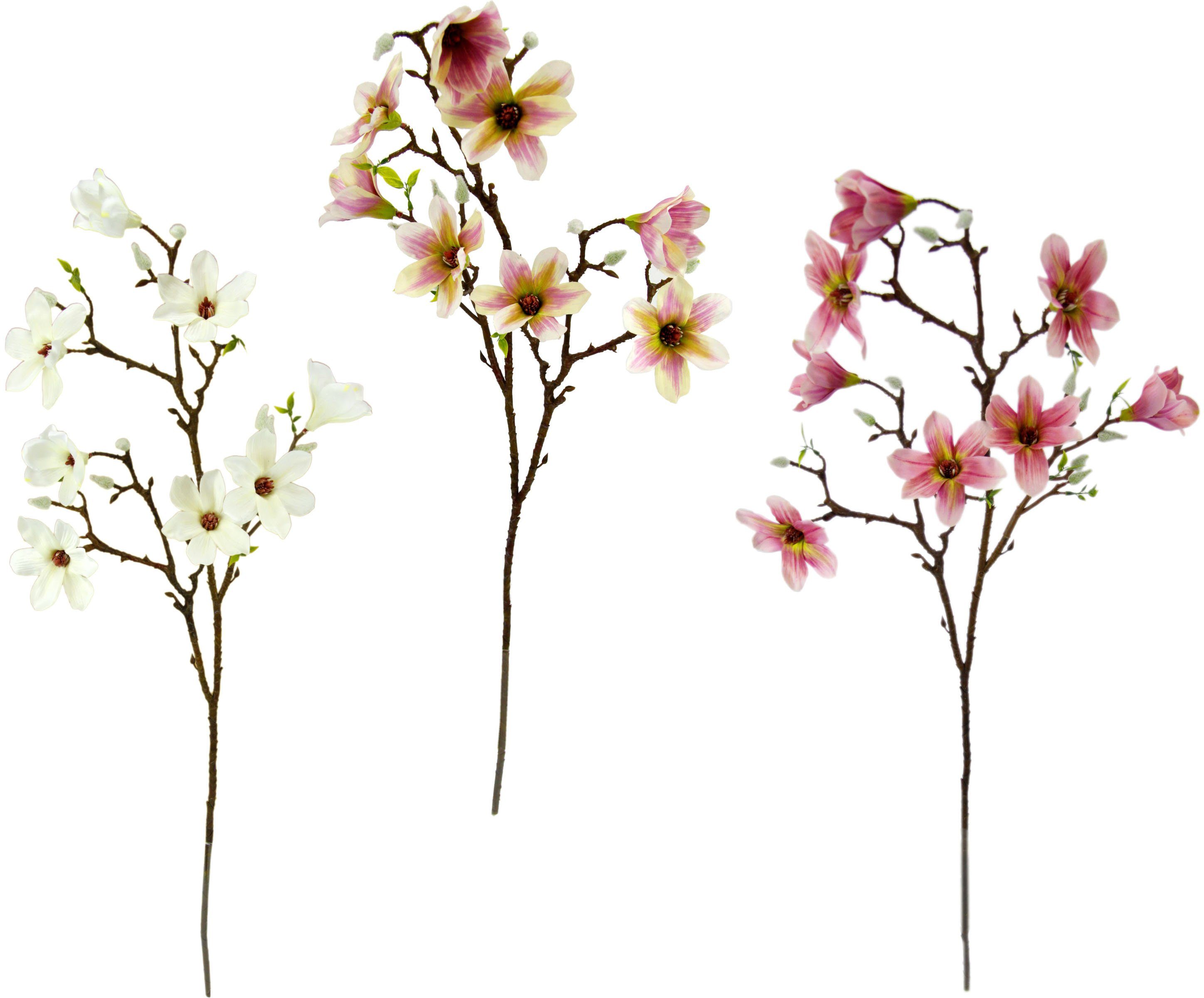 Kunstblume Magnolienzweig, I.GE.A., Höhe 85 cm, 3er Set