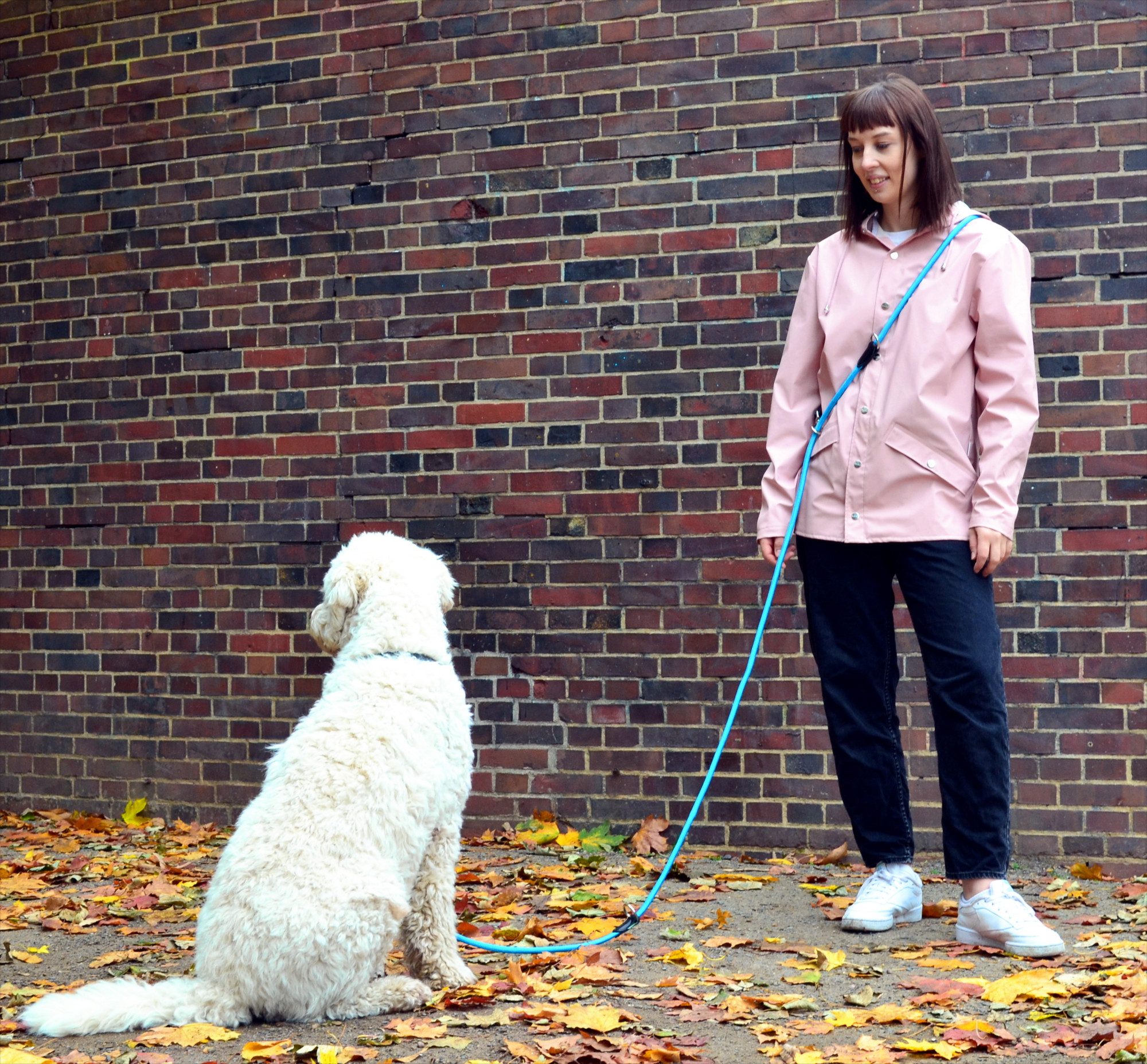 Leisegrün Hundeleine für große Hunde, 3m, 3-fach verstellbar, Nylon, Doppelleine für 2 Hunde, Führleine, Freihandleine, Trainingsleine – Bild 4 von 5