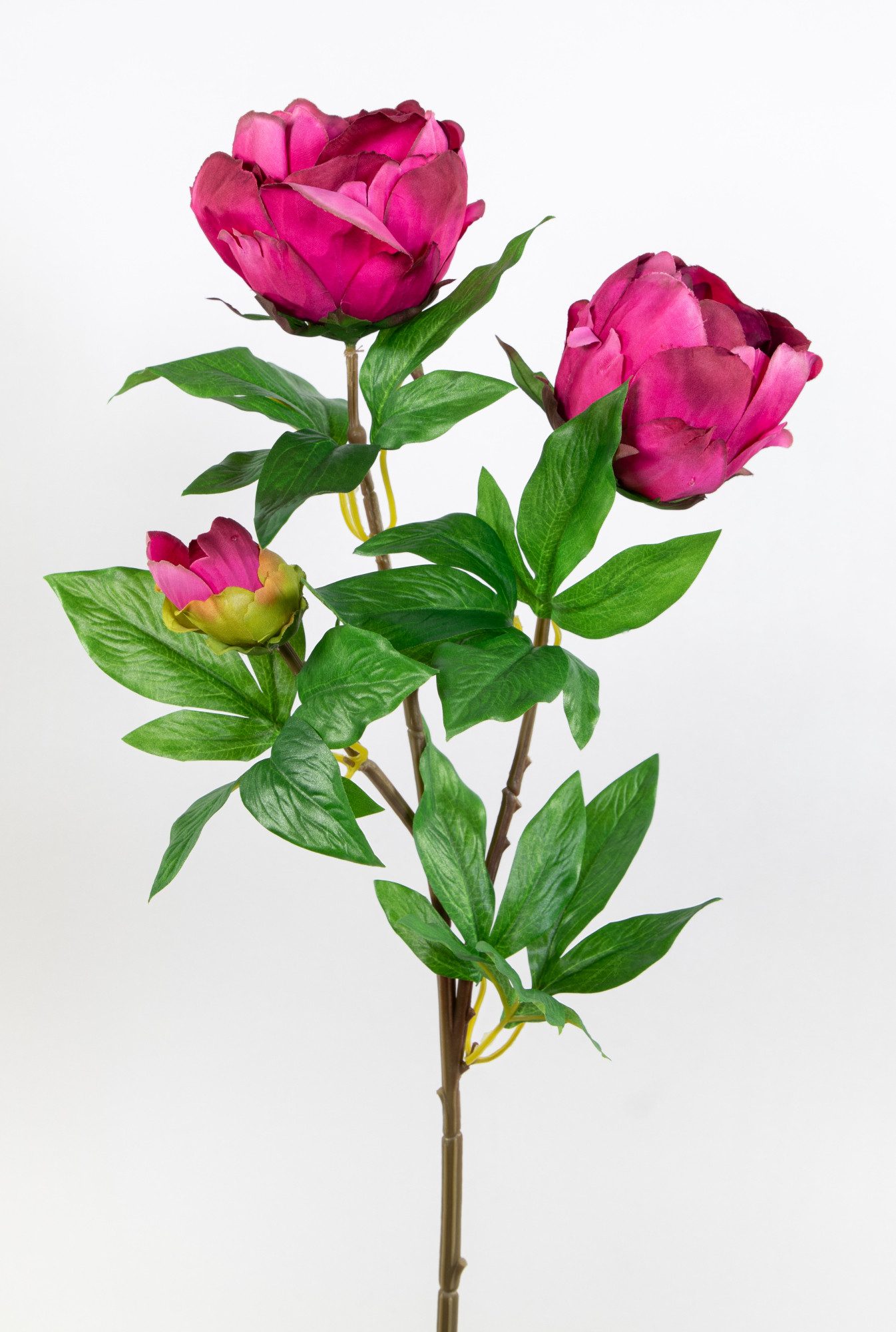 Kunstblume Pfingstrose Nature 68cm GA Seidenblumen künstliche Blumen Päonie, Seidenblumen Roß, Höhe 68 cm, Fuchsia – Bild 2 von 5