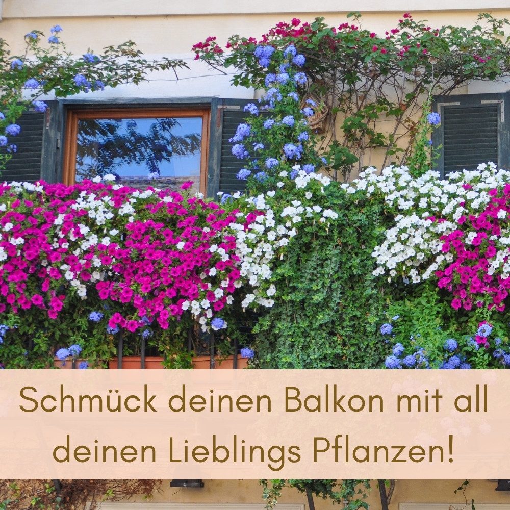 GarPet Balkonkasten 2er Set Blumen Kasten Balkon Geländer Wasserspeicher Rattan Anthrazit