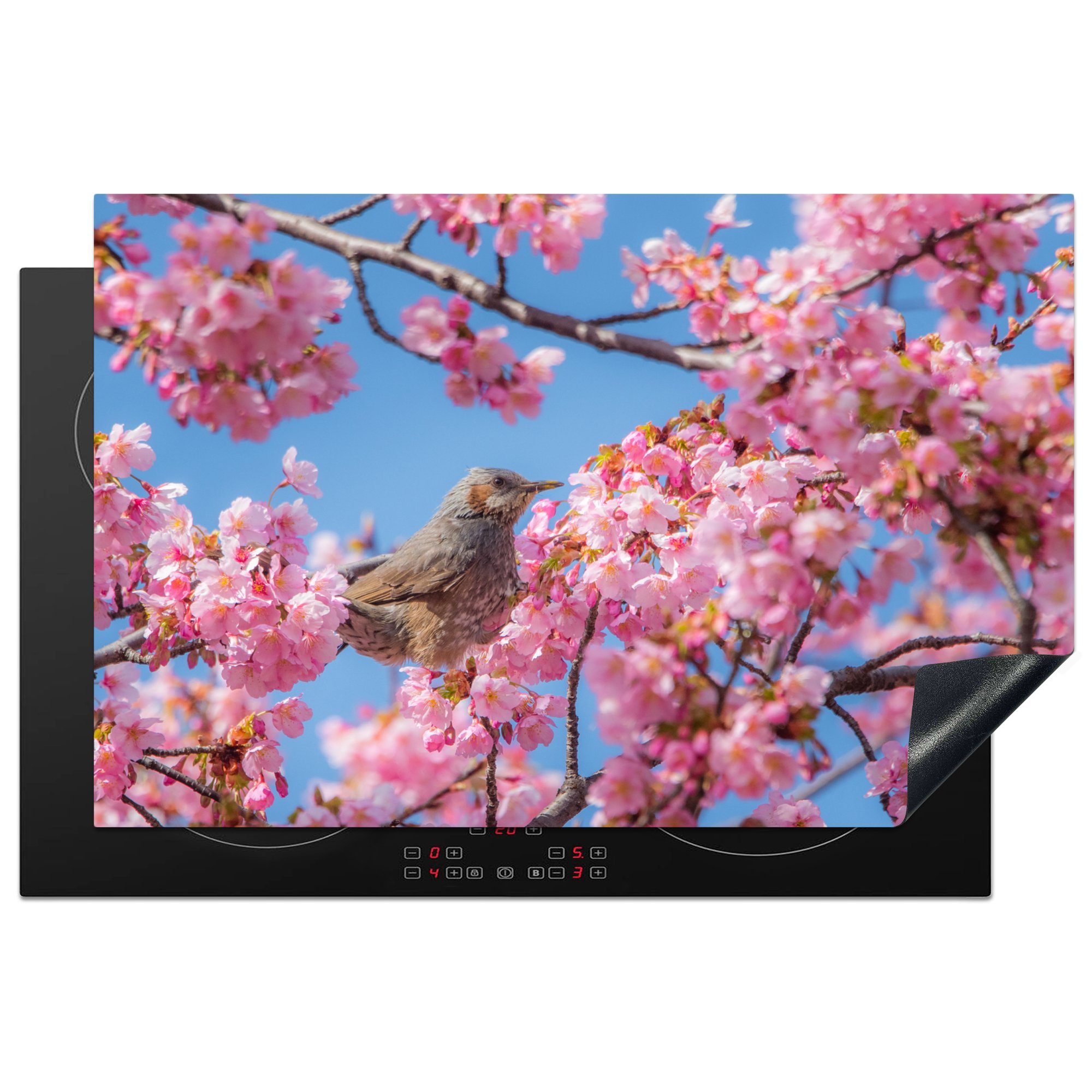 Herdblende-/Abdeckplatte Kirschblüte Schutz Ceranfeldabdeckung 81x52 MuchoWow Vogel Induktionskochfeld (1 cm, die Vinyl, tlg), küche, - für Rosa, -