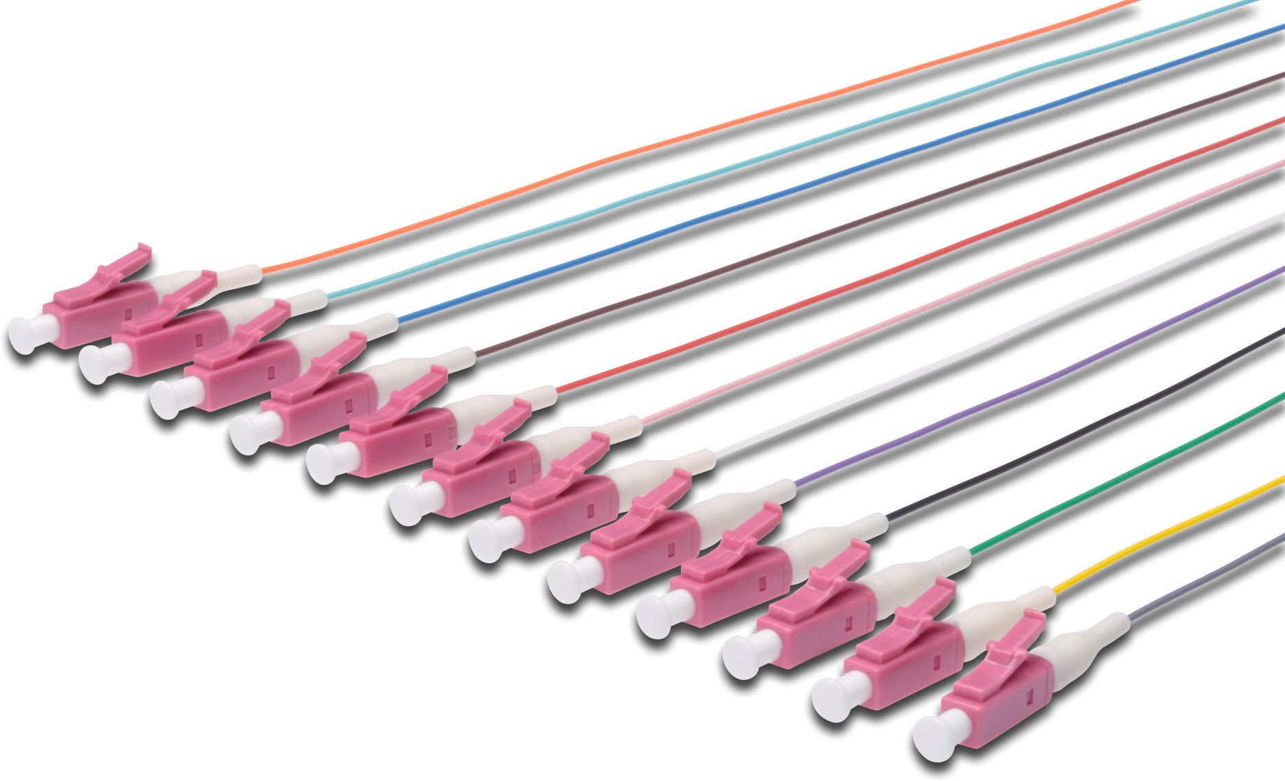 Digitus LC/UPC 0.9mm 12 LSZH pigtail Multimode 50/125um, Class OM4 Optisches-Kabel, (200 cm)