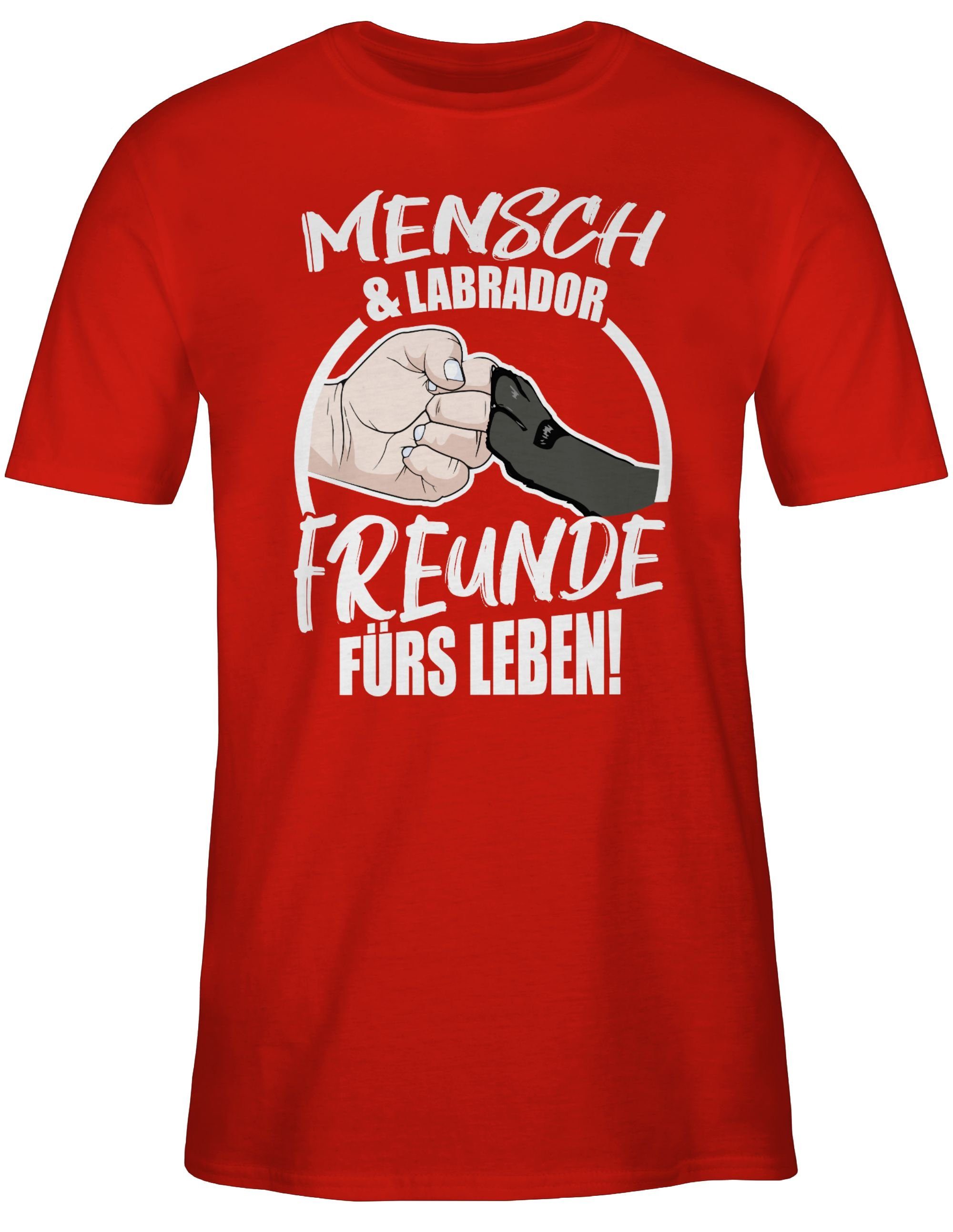 Shirtracer T-Shirt Mensch & Labrador Freunde günstig online kaufen