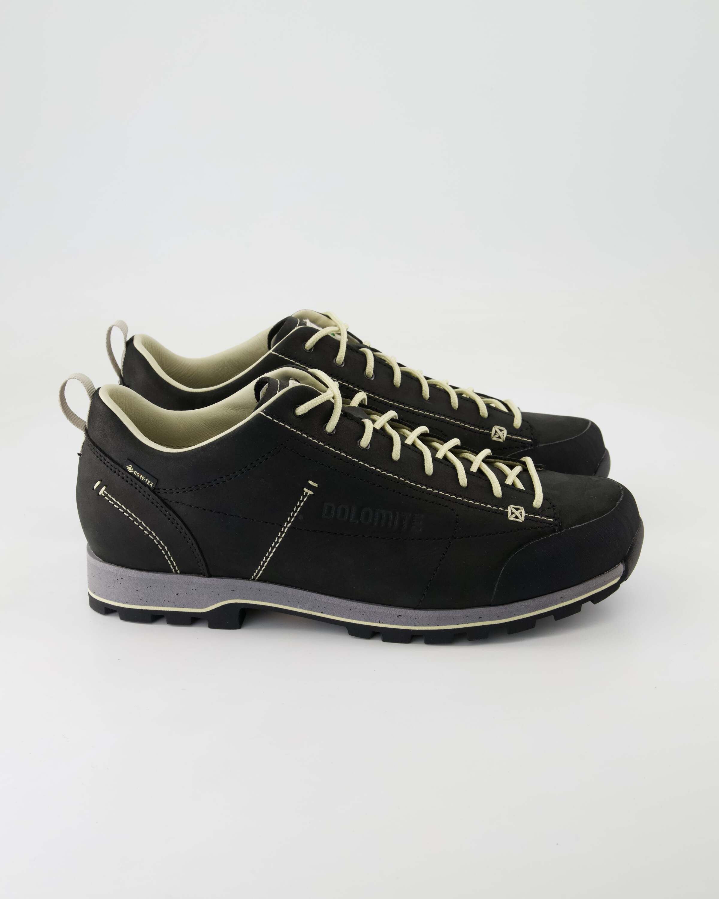 Dolomite Low Fg Evo GTX Wanderschuh Obermaterial: Leder
