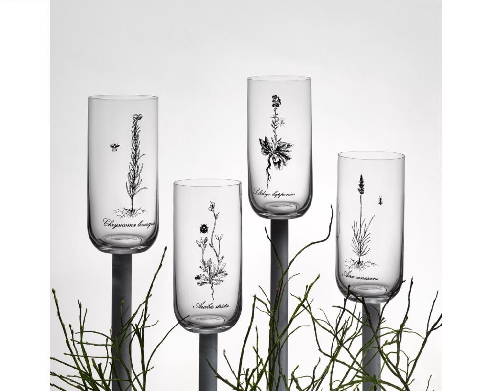 Crystalex Longdrinkglas Longdrinks Herbs Wiesenkräuter Kristallglas 440 ml 4er Set, 4-tlg., Kristallglas, 4 unterschiedliche Gläser Wiesenkraut auf der anderen Seite ein Insekt