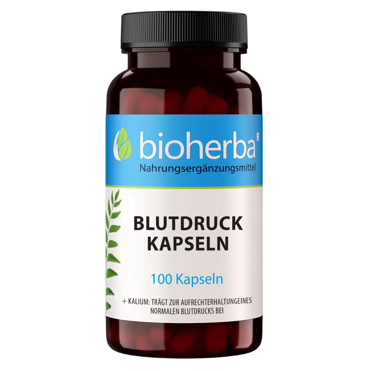 BIOHERBA R Blutdruck Kapseln 100 Stück Для домработницы