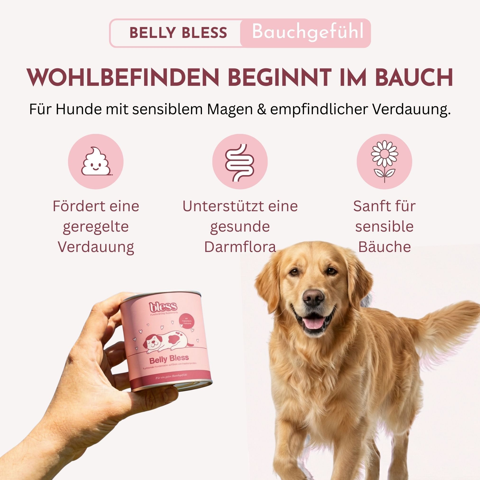 Bless Verdauungs-Snack für Hunde (Belly Bless) – mit Präbiotika & Kräutern, Nahrungsergänzungsmittel für: Hunde, mit Insektenprotein (allergikerfreundlich)