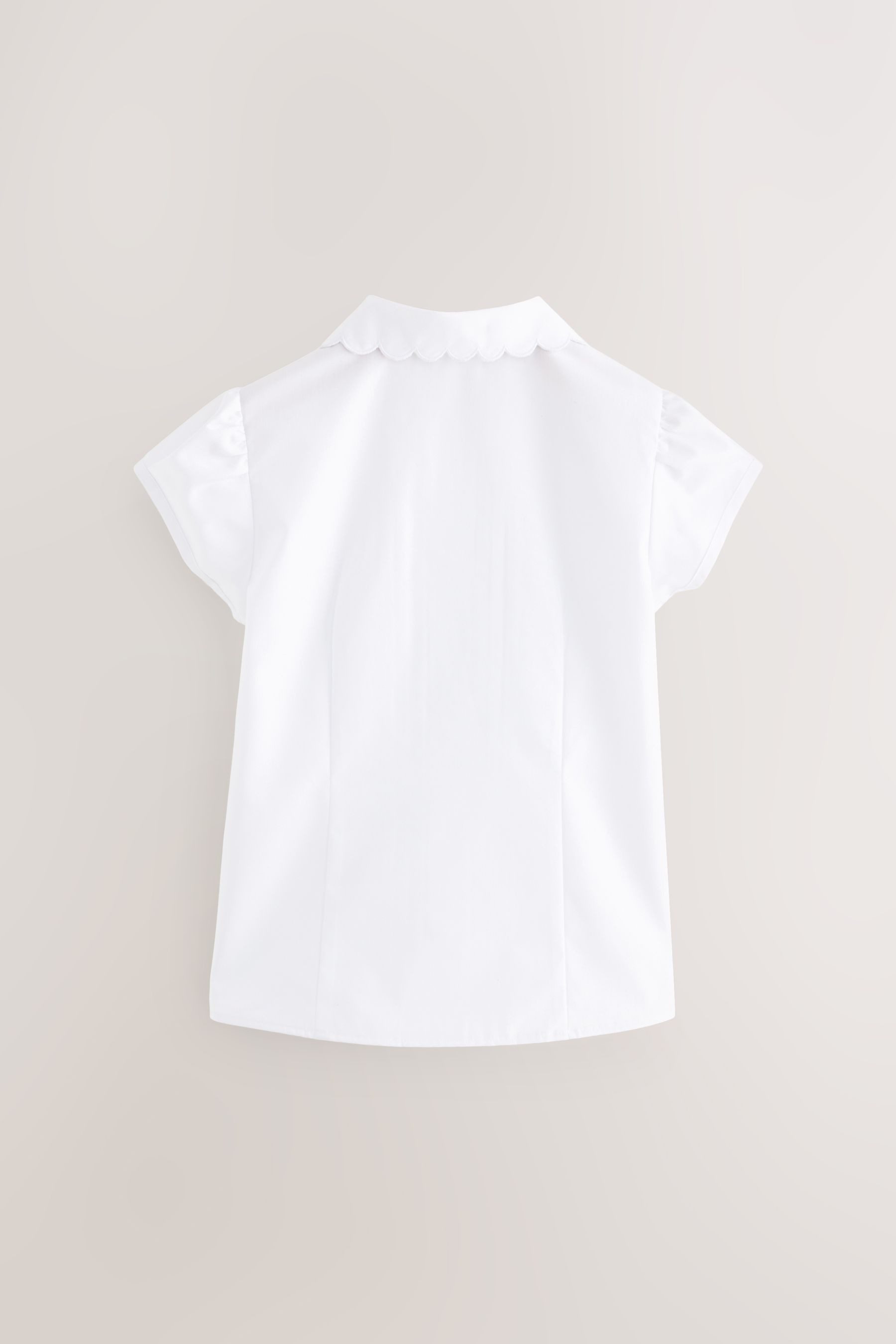 Next Kurzarmbluse Bluse mit Bogenkantenkragen (1-tlg)