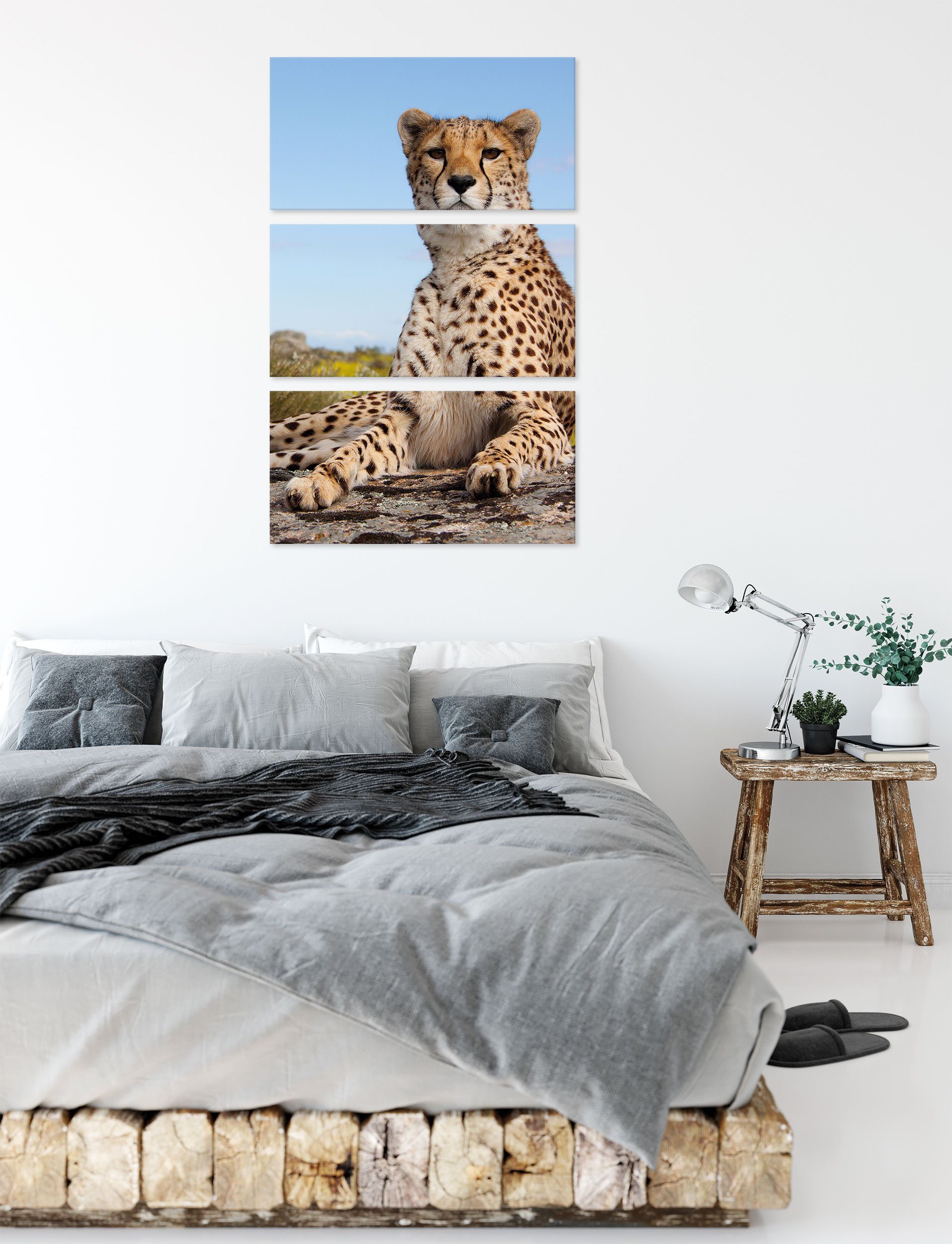 Pixxprint Leinwandbild St), Zackenaufhänger 3Teiler (120x80cm) Savanne, in Gepard (1 bespannt, in fertig Gepard inkl. Savanne Leinwandbild