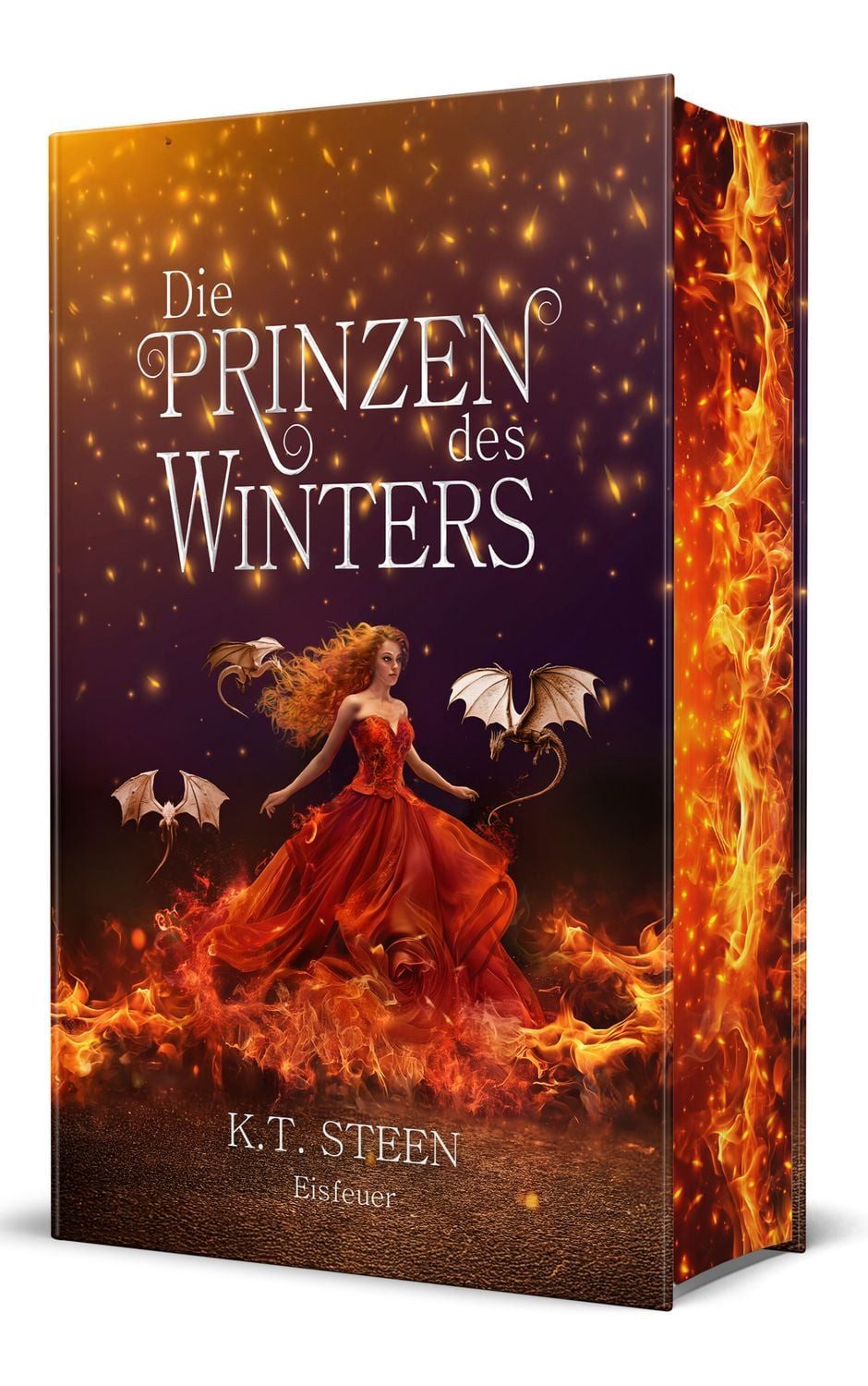 Die Prinzen des Winters / K. T. Steen
