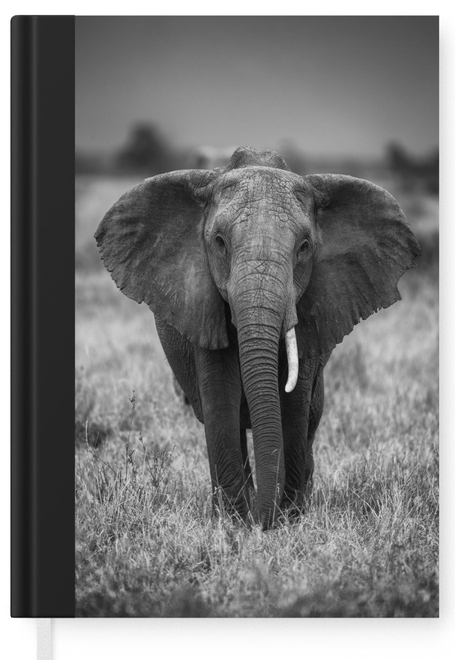 Seiten, Merkzettel, Safari Journal, Notizbuch Tagebuch, - A5, Notizheft, MuchoWow Wildtiere, Haushaltsbuch Tiere - Elefant - 98