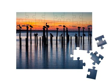 puzzleYOU Puzzle Pelikane bei Sonnenuntergang auf alten Pfeilern, 48 Puzzleteile, puzzleYOU-Kollektionen Pelikane
