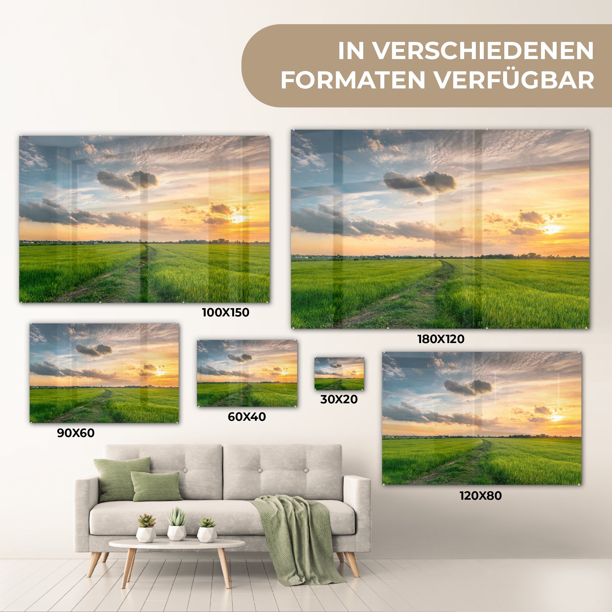 Gras MuchoWow Wohnzimmer Sonne, Acrylglasbilder - - Acrylglasbild & Himmel St), (1 Schlafzimmer
