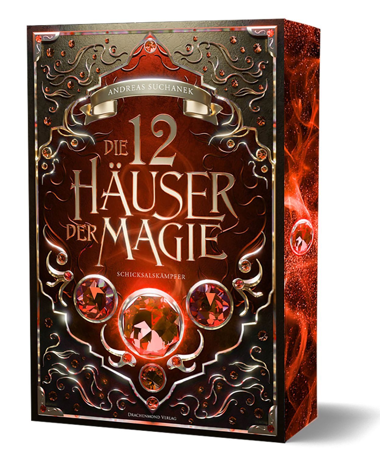 Jugendbuch Die 12 Häuser der Magie - Schicksalskämpfer Urban Fantasy, mit magisch Andreas Suchanek