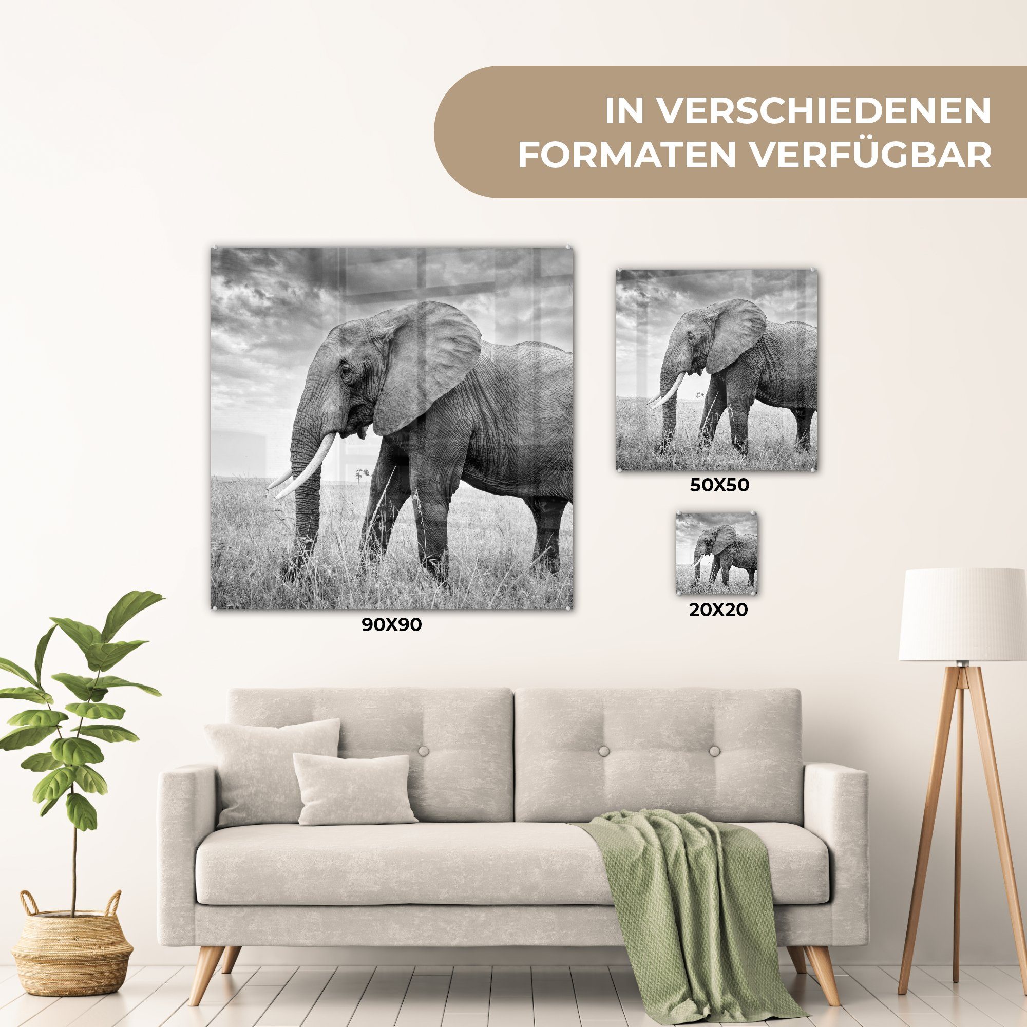 auf - und St), auf Glas Wandbild - Tiere Acrylglasbild Elefant weiß, Gras - Schwarz Wanddekoration MuchoWow Glasbilder Bilder - Foto - Glas (1 -