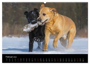 CALVENDO Wandkalender Hunde - Treue Freunde für´s Leben (Premium, hochwertiger DIN A2 Wandkalender 2023, Kunstdruck in Hochglanz)