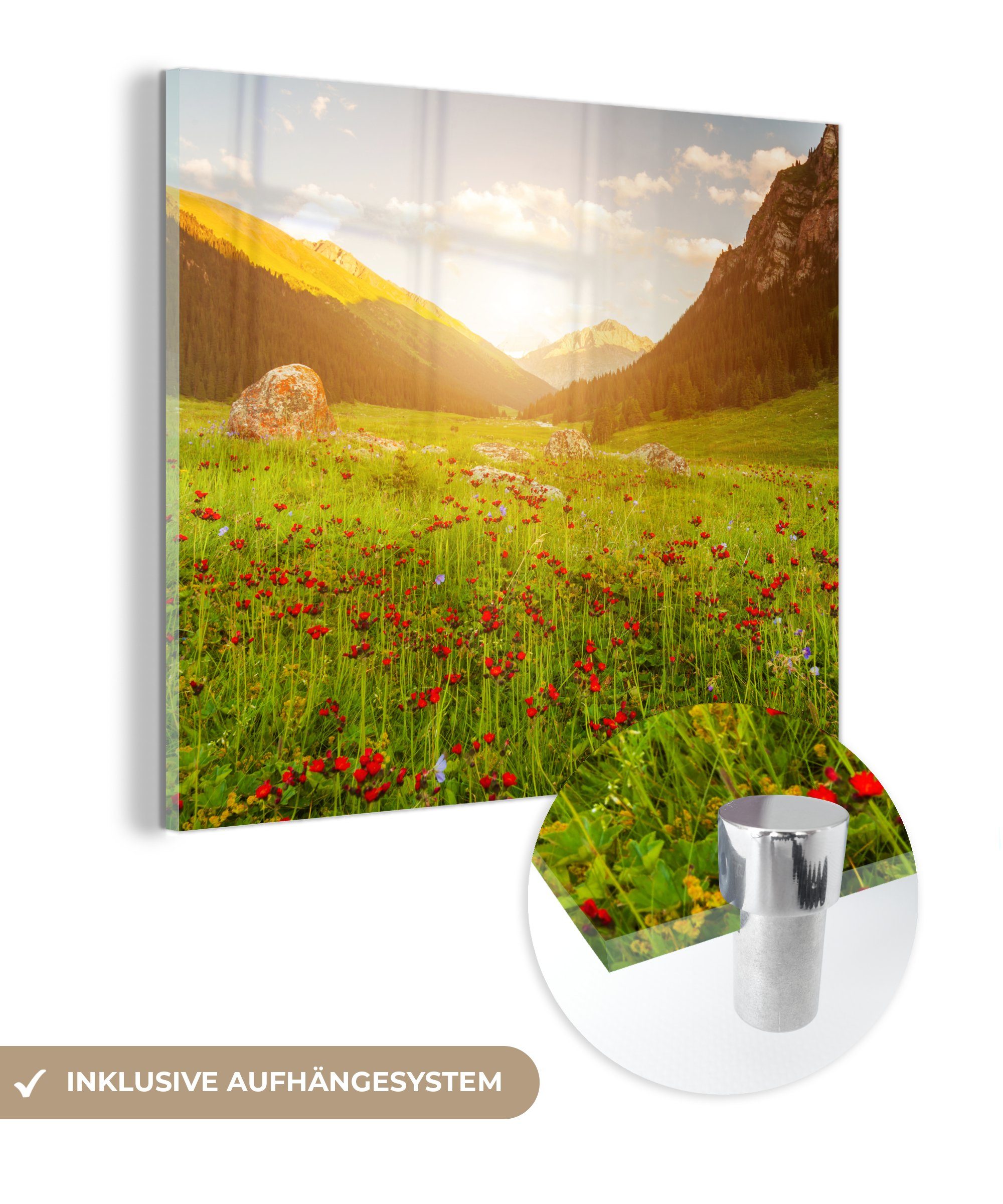 MuchoWow Acrylglasbild Blumen - Berg - Sonne, (1 St), Glasbilder - Bilder auf Glas Wandbild - Foto auf Glas - Wanddekoration