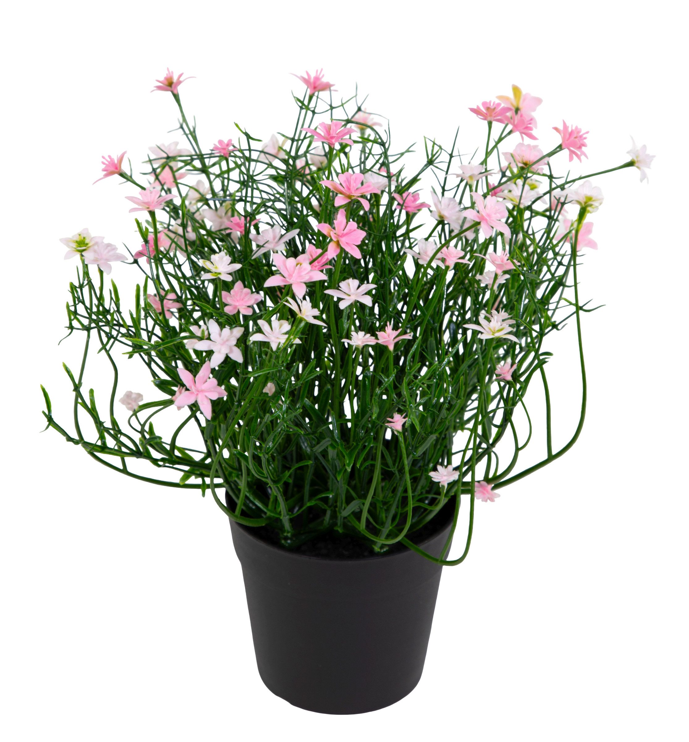Kunstblume Blütenbusch Natural Look 24cm im Topf FT Kunstblumen künstliche Blume Sternblüte, Seidenblumen Roß, Höhe 24 cm, Sternblütenbusch rosa-hellrosa