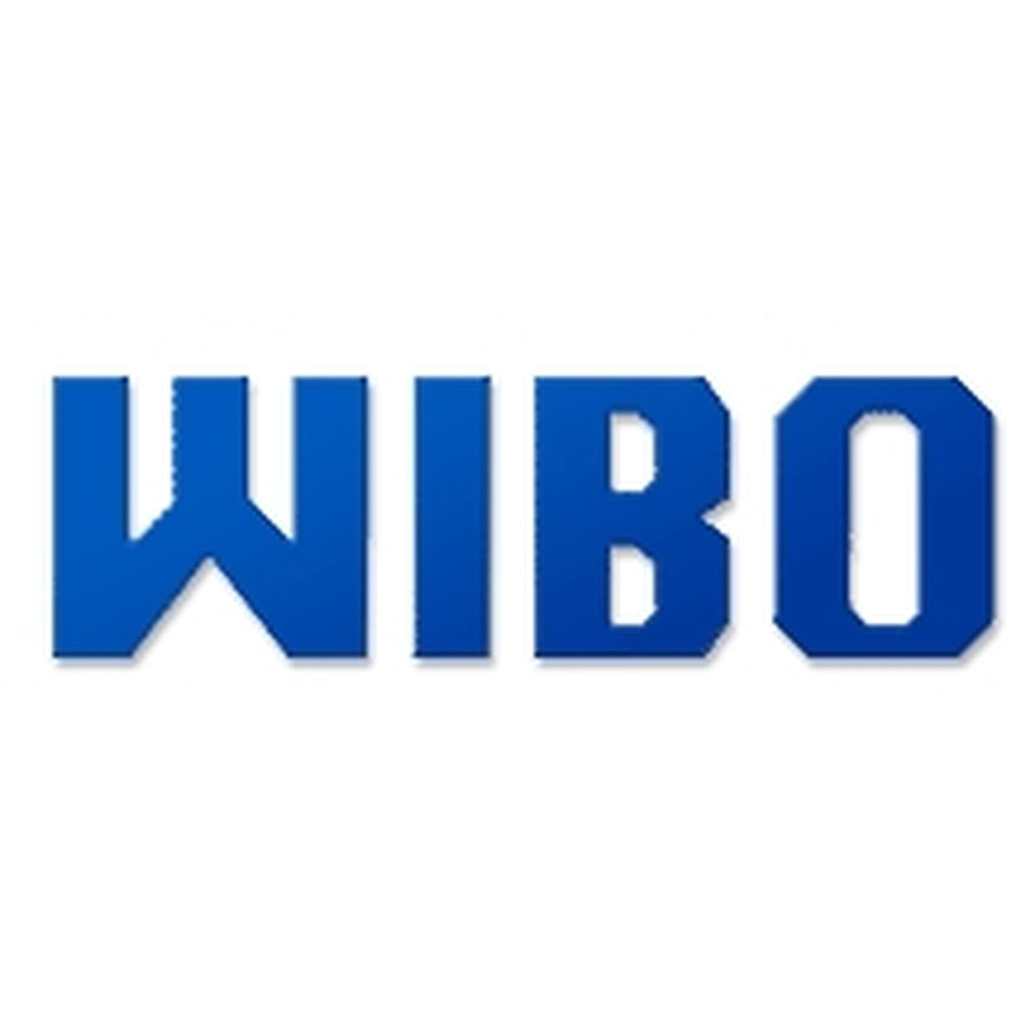 WIBO Kunststofftechnik GmbH