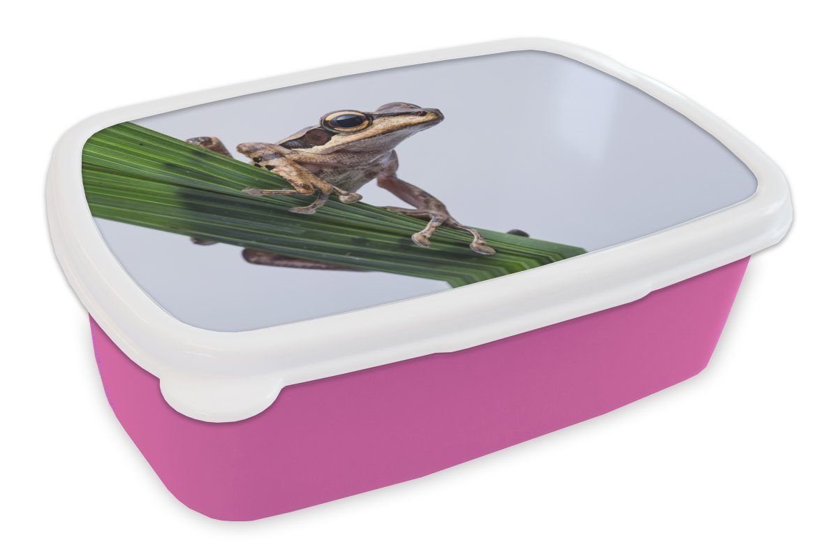 MuchoWow Lunchbox Frosch - Palmblatt, Kunststoff, (2-tlg), Brotbox für Erwachsene, Brotdose Kinder, Snackbox, Mädchen, Kunststoff rosa