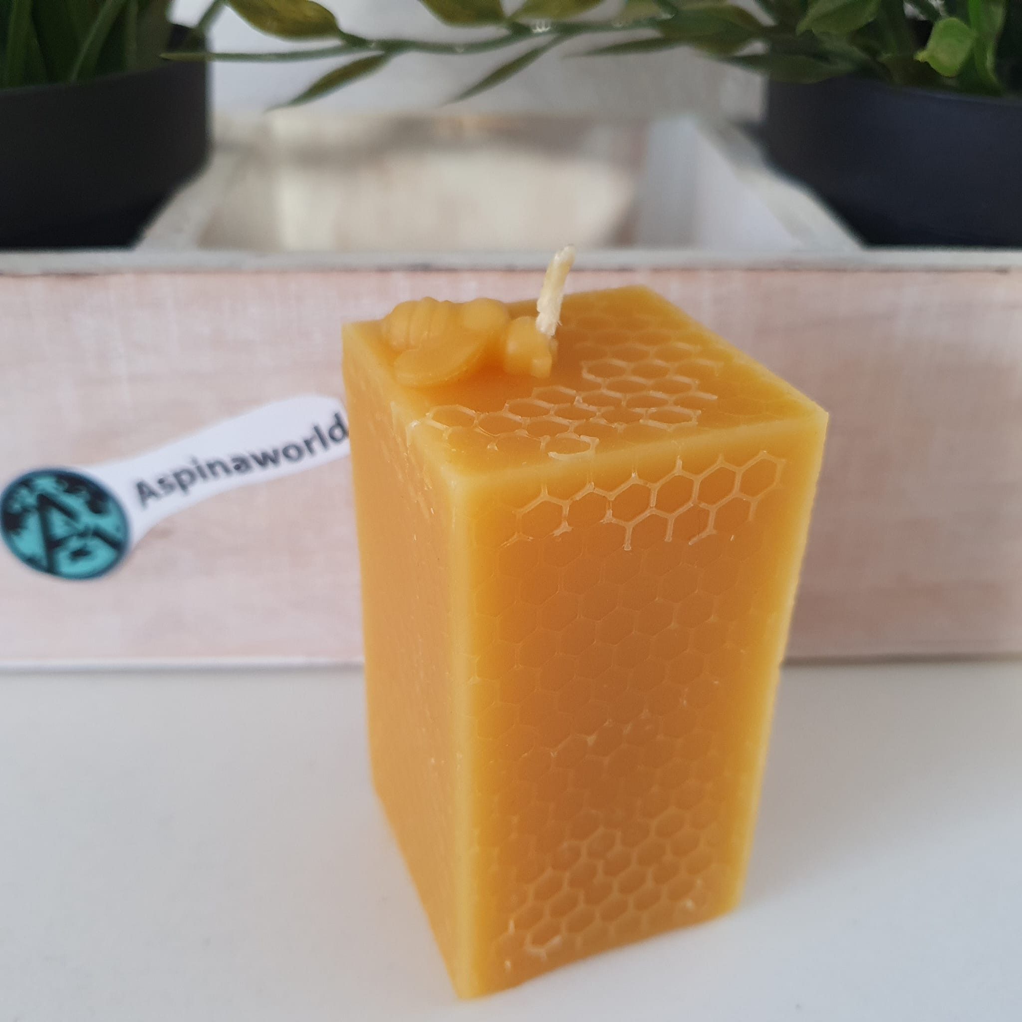 Aspinaworld Bienenwachskerze Waben Kerze 7,5 cm – Kerze aus Bienenwachs