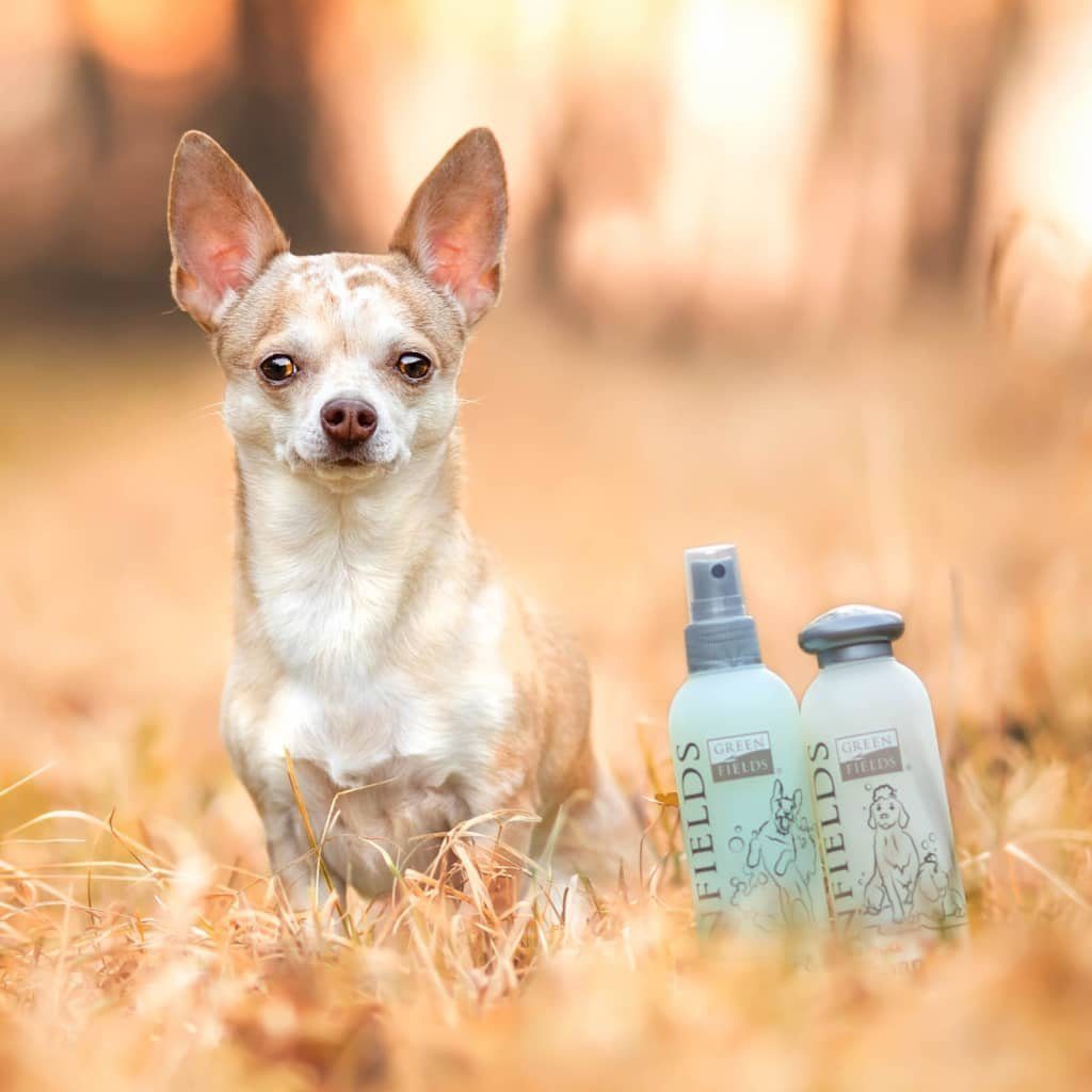Hunde für Shampoo Komplettpflege-Set Conditioner Haarspülung ml 2x250 und Greenfields