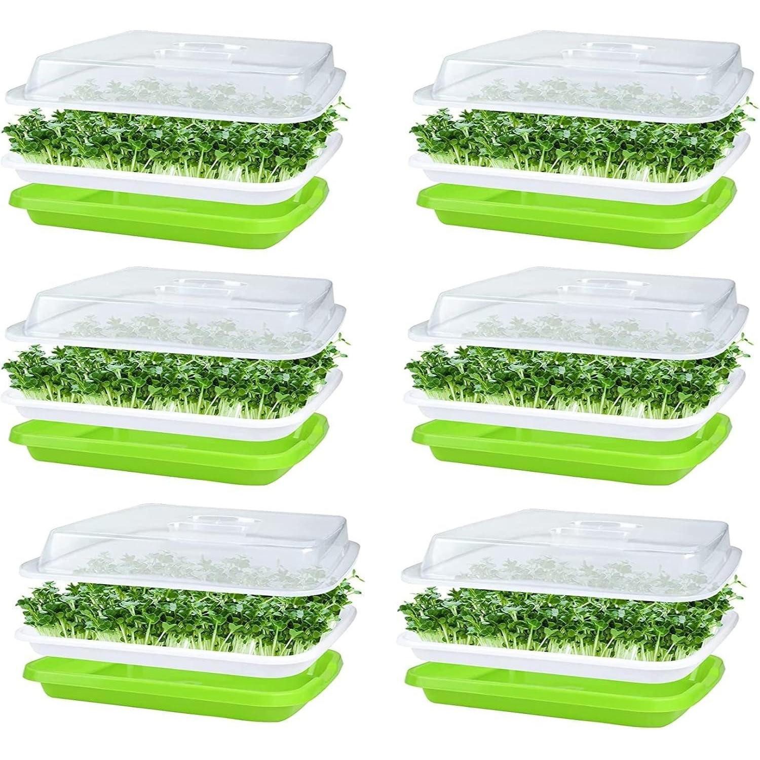 LuxusKollektion Anzuchttablett 6Pcs Keimschalen für Sprossen Tray 32cm x 26cm mit Deckel, Anzucht von