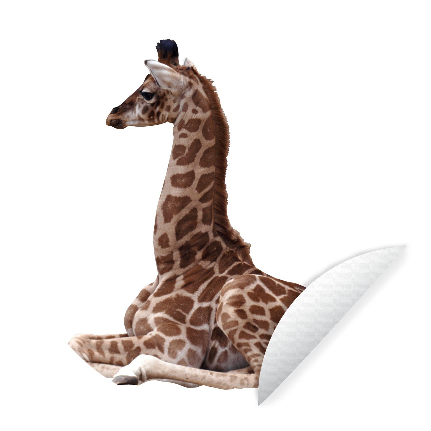 MuchoWow Wandsticker Baby-Giraffe auf weißem Hintergrund (1 St), Tapetenkreis für Kinderzimmer, Tapetenaufkleber, Rund, Wohnzimmer