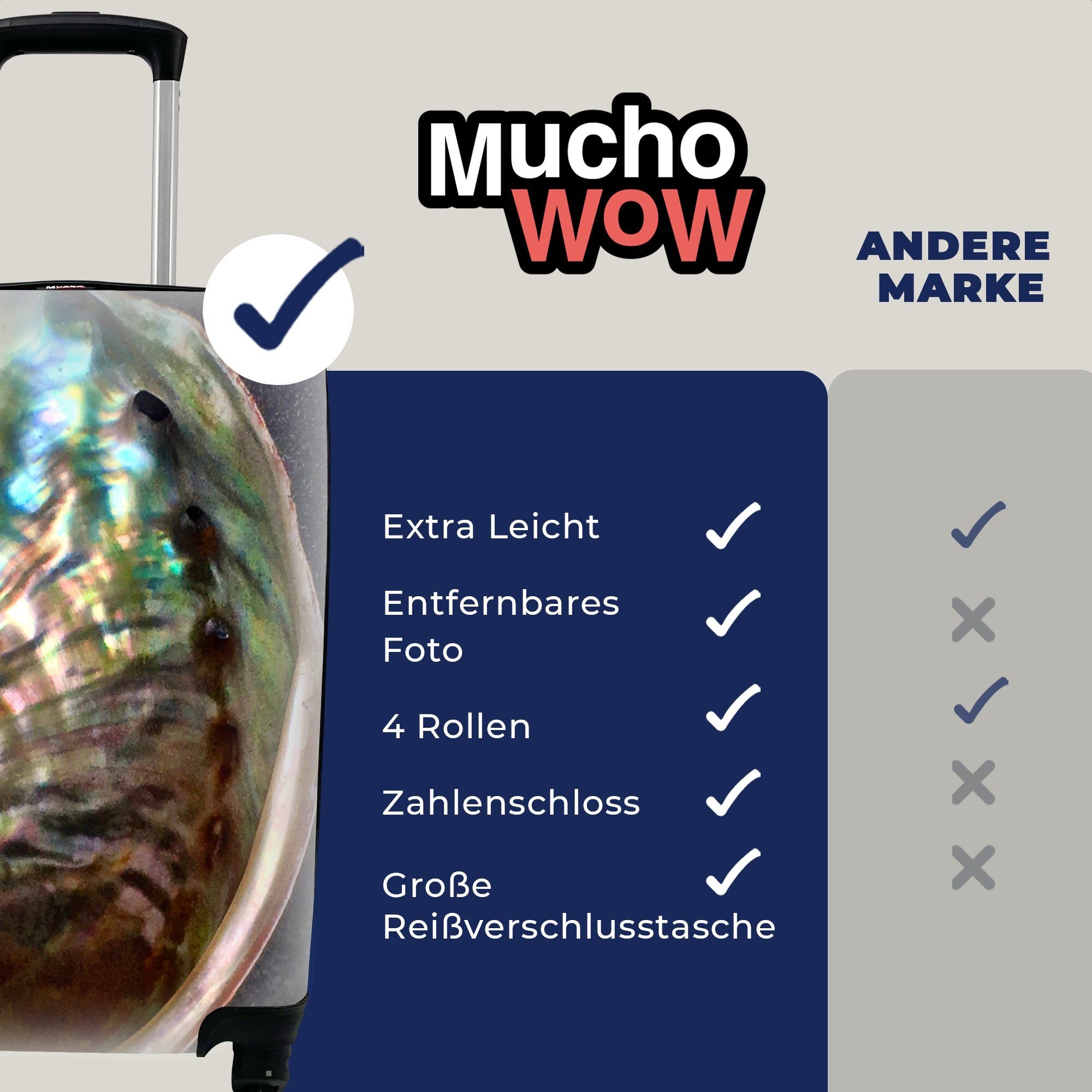 4 Muschel MuchoWow Handgepäck Reisekoffer Trolley, Reisetasche - rollen, mit für Perlmutt - Holz, Ferien, Handgepäckkoffer Rollen,