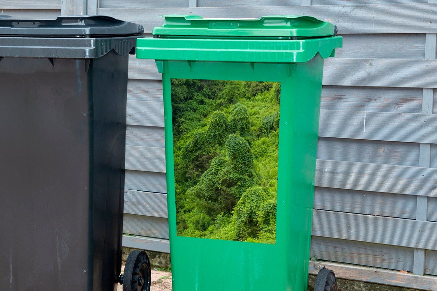 Kudzu der grünen (1 Mülleimer-aufkleber, Landschaft St), Abfalbehälter Wandsticker Mülltonne, in Container, MuchoWow Sticker,