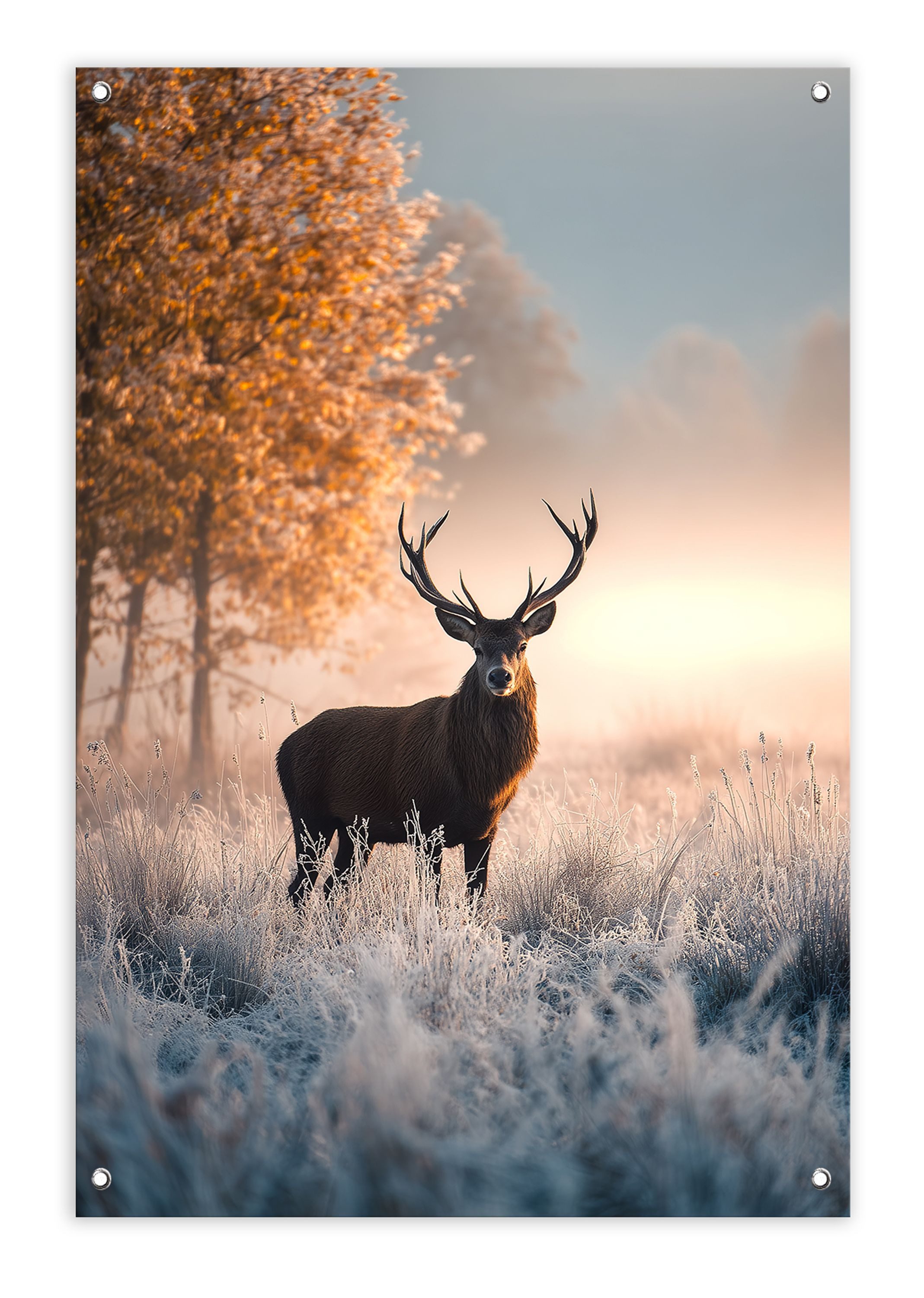 artissimo Плакат Garten-Poster 60x90cm Outdoor-Deko Bild Hirsch Natur Herbst Winter, Outdoor-Poster: Hirsch