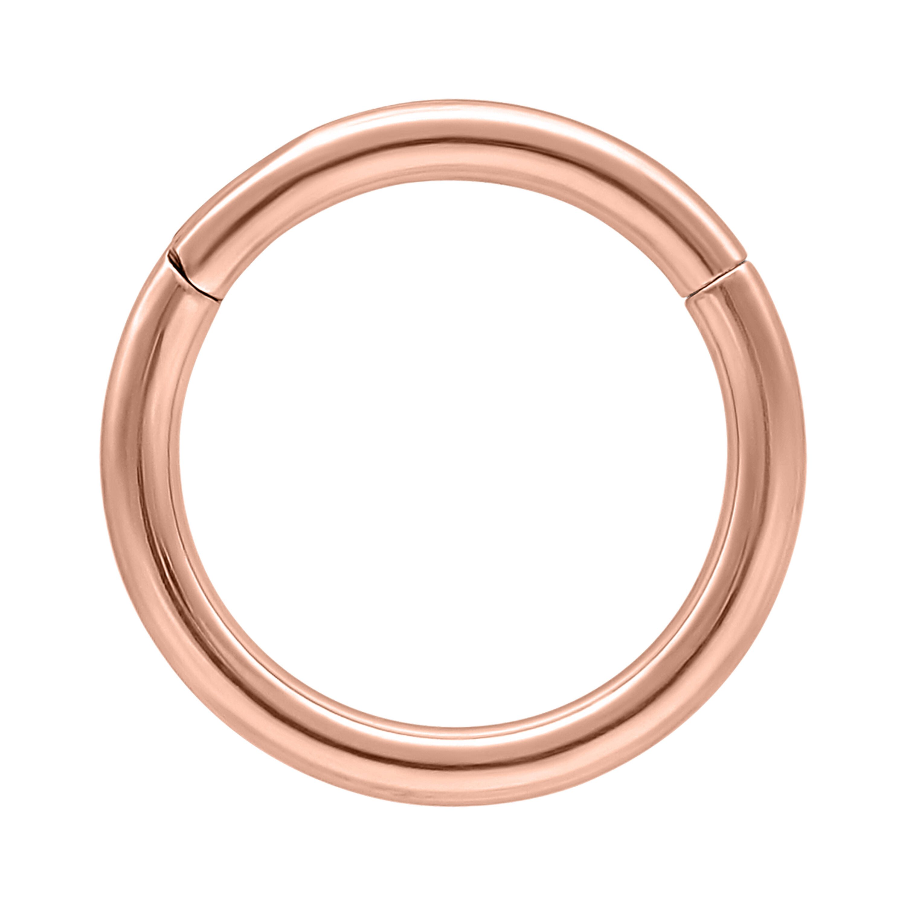 Wildcat Nasenpiercing Hinged Ringfür Ohr, Lippe, Nase, Bauchnabel, 1 Stück, Titan Grad 23 - wasserfest, langlebig, hautverträglich