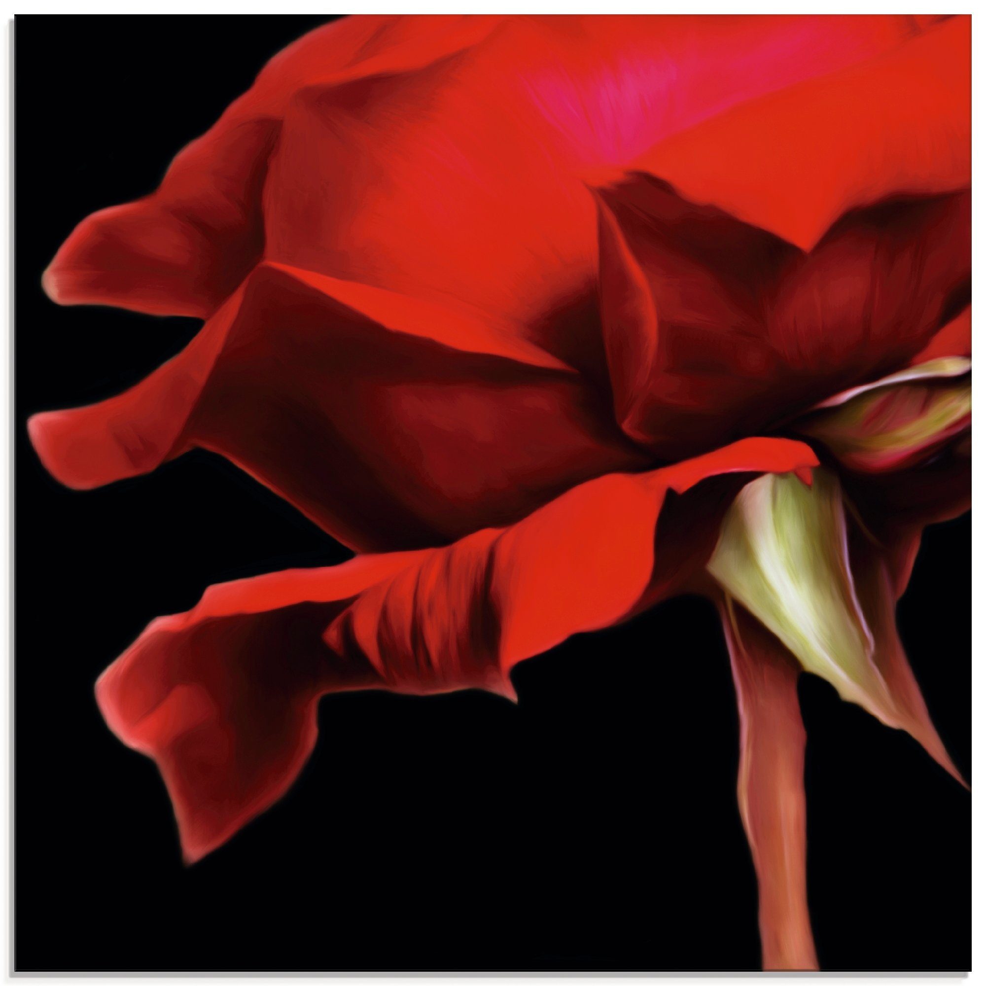 Artland Glasbild Rote Rose, Blumen (1 St), in verschiedenen Größen
