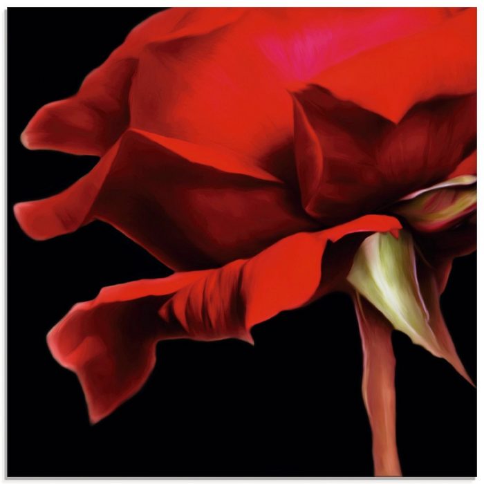 Artland Glasbild Rote Rose Blumen (1 St) in verschiedenen Größen