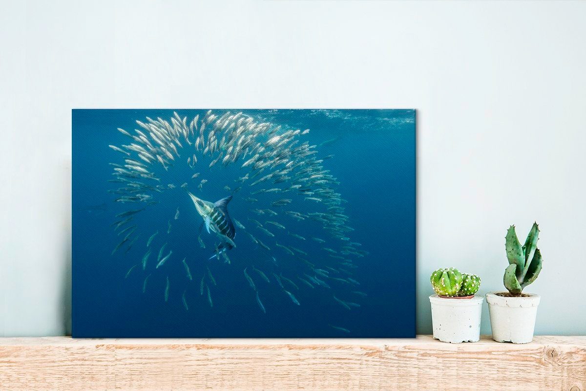 (1 Wanddeko, - cm Wasser, - Leinwandbilder, Aufhängefertig, Wandbild St), Blau 30x20 Schwertfisch Leinwandbild OneMillionCanvasses®