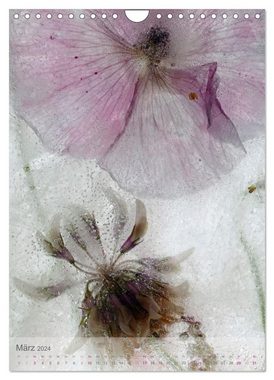 CALVENDO Wandkalender Blumen in Eis (Wandkalender 2024 DIN A4 hoch), CALVENDO Monatskalender