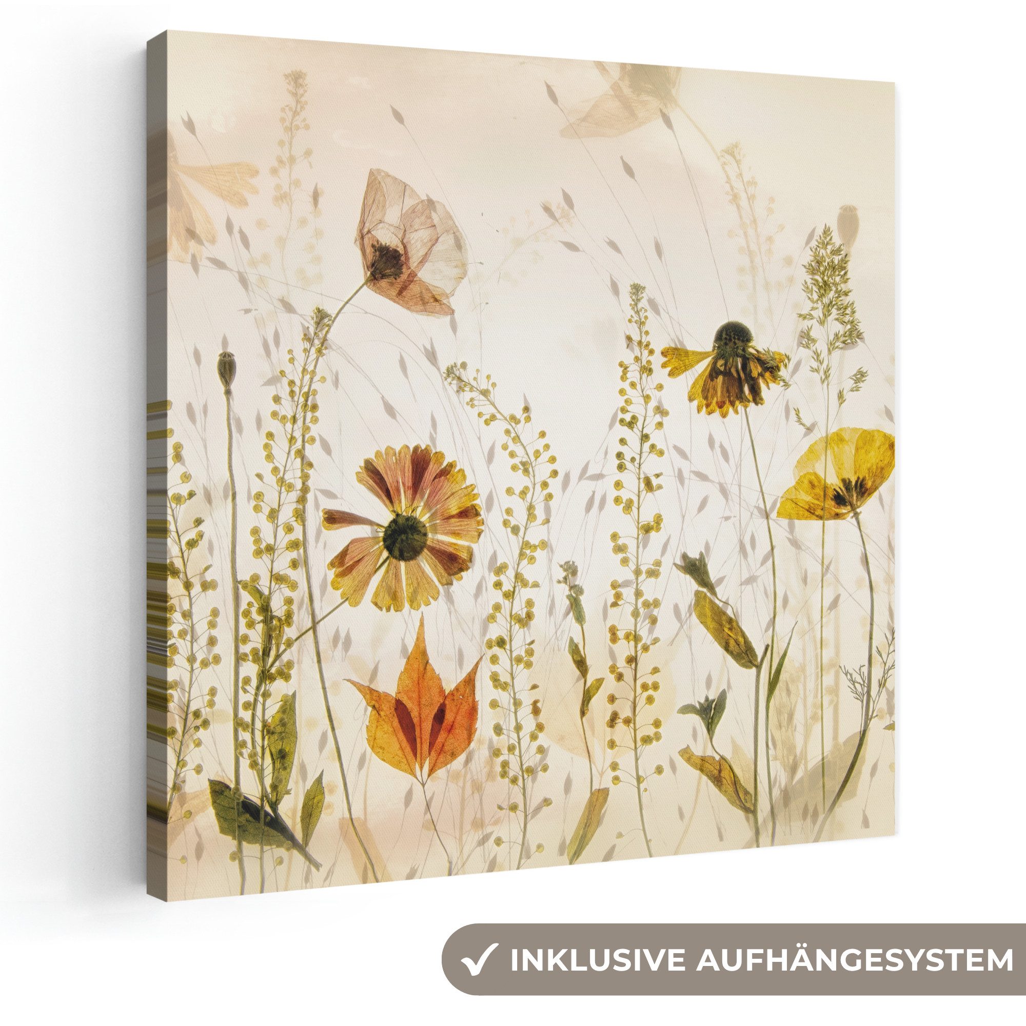 OneMillionCanvasses® Leinwandbild Illustration - Pflanzen - Insekten - Beige, Fotodruck (1 St), Wandbild, Deko Schlafzimmer Wohnzimmer Flur 20x20 cm