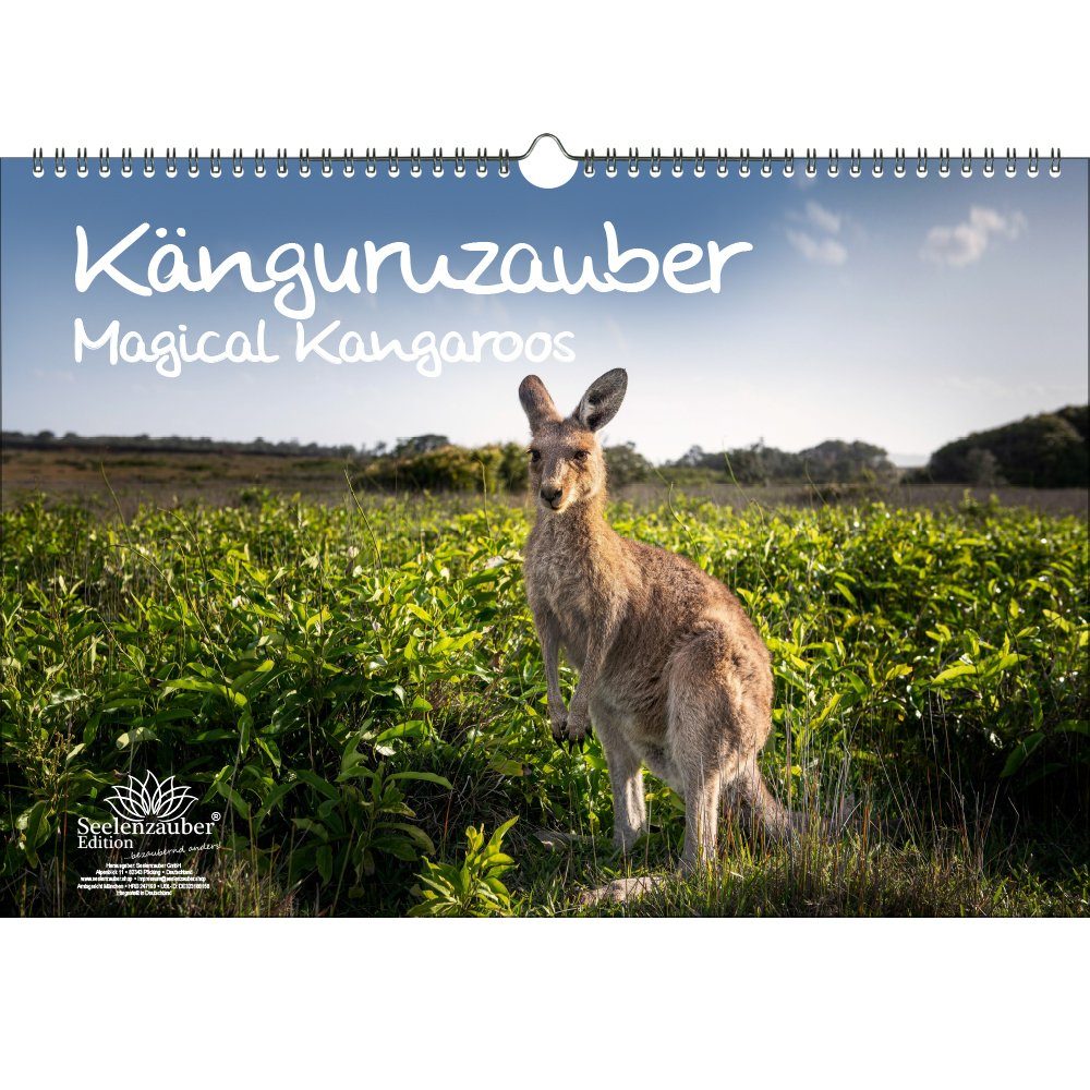 Seelenzauber ewige Kalender Känguruzauber DIN A3 Immerwährender Kalender Känguru - Seelenzauber