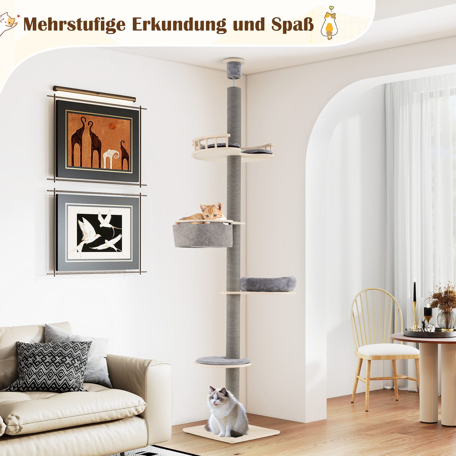 monstera drauen Fensterblatt (Monstera) XXL-Gre kaufen