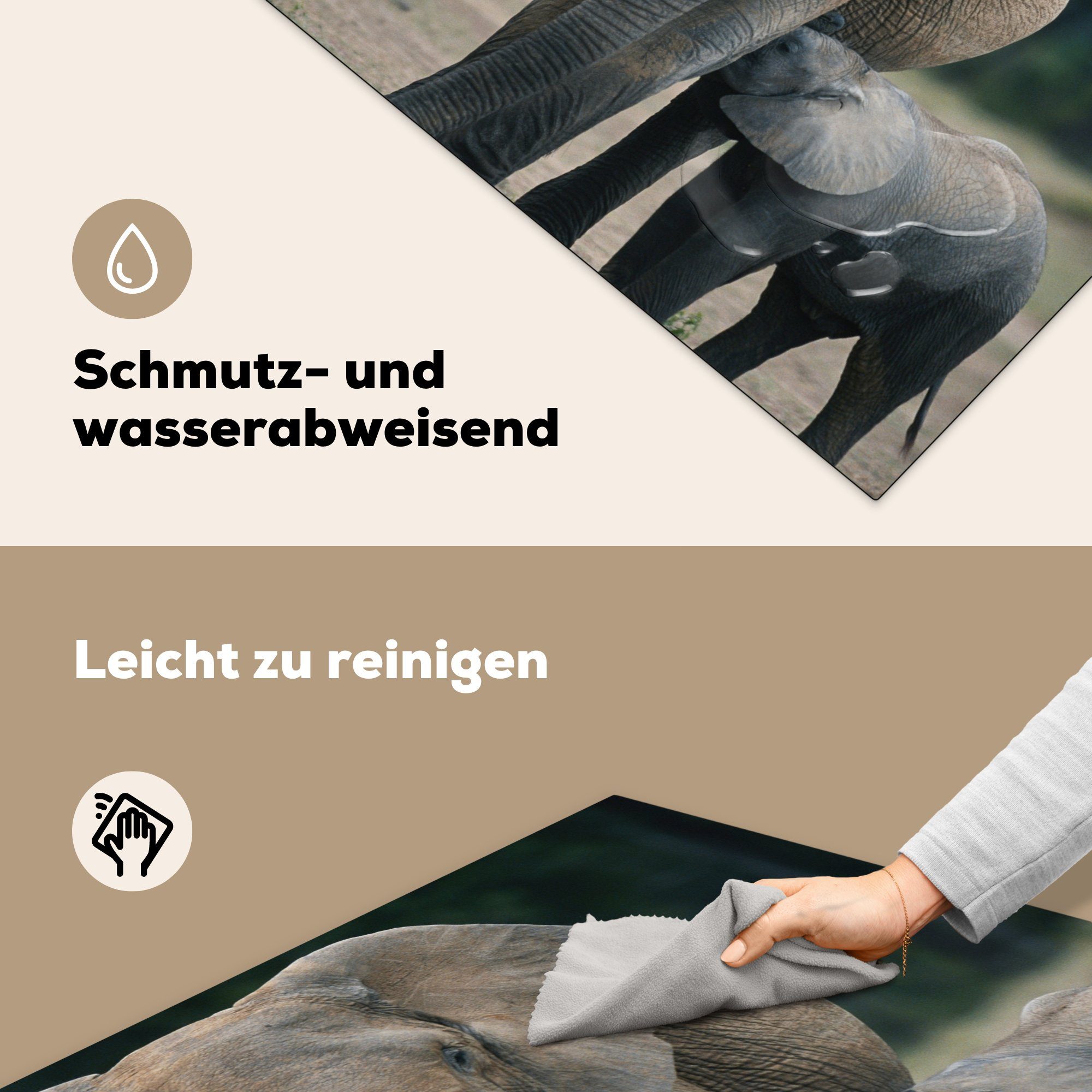 78x78 küche Tiere für Herdblende-/Abdeckplatte tlg), - (1 Ceranfeldabdeckung, Flachland Arbeitsplatte Elefant - cm, Natur, MuchoWow - Vinyl,