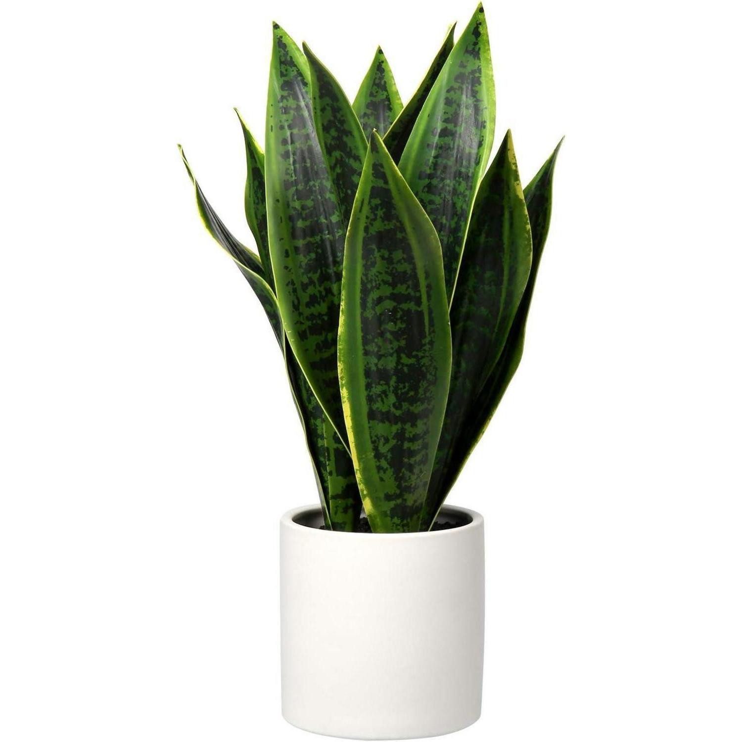 Künstliche Zimmerpflanze Künstliche Sansevieria Zimmerpflanze Deko in Weißem Topf 40.6cm, LuxusKollektion, Höhe 44 cm