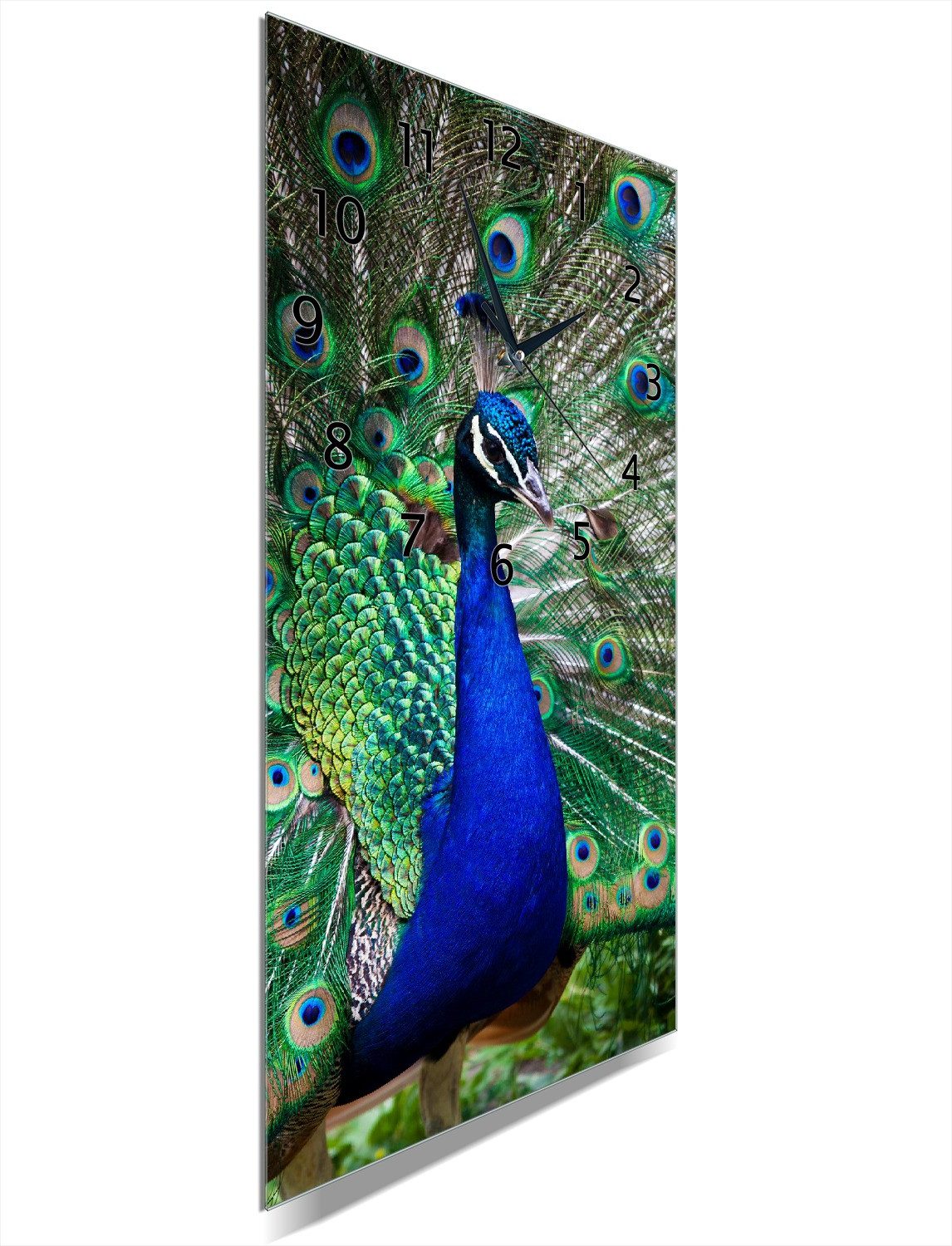 Wallario Wanduhr Farbenprächtiger Pfau (Uhr aus Acryl)